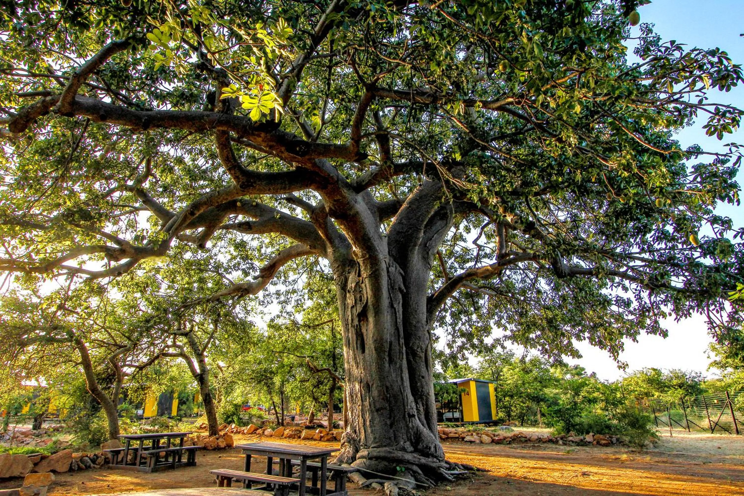 Property building in SleepOver Beitbridge