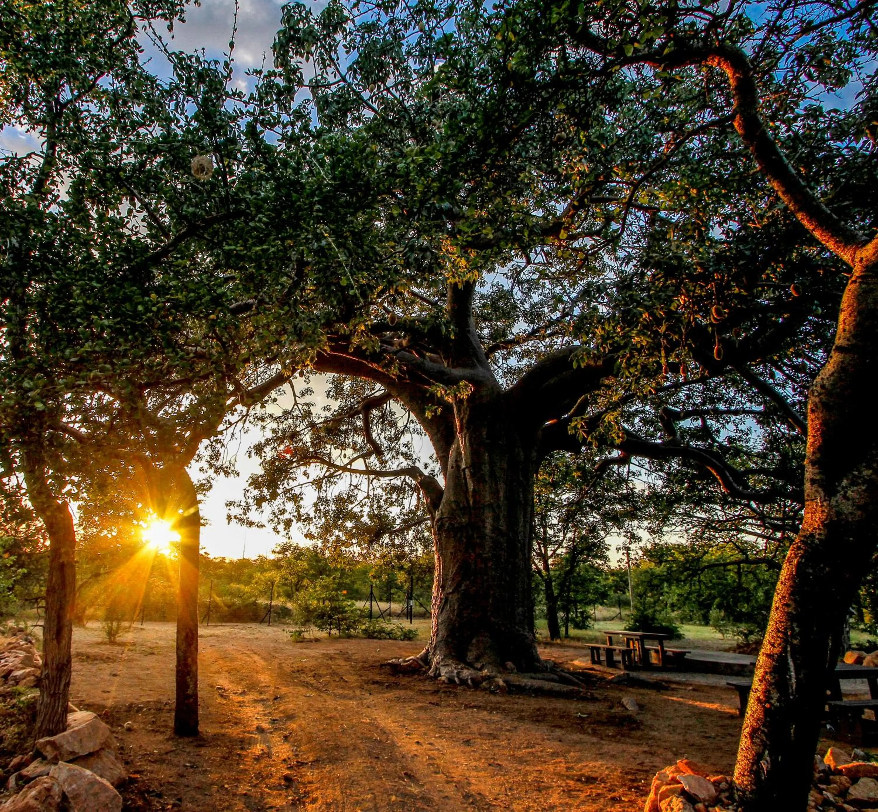 Property building in SleepOver Beitbridge