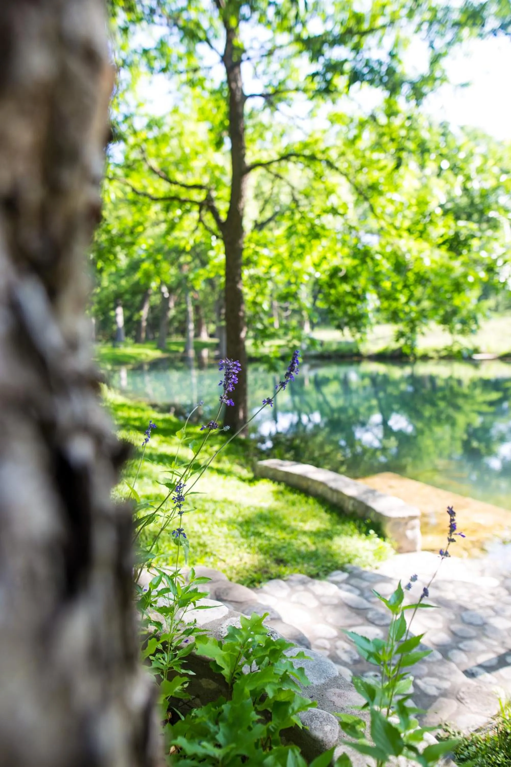 River view in The Springs Retreat