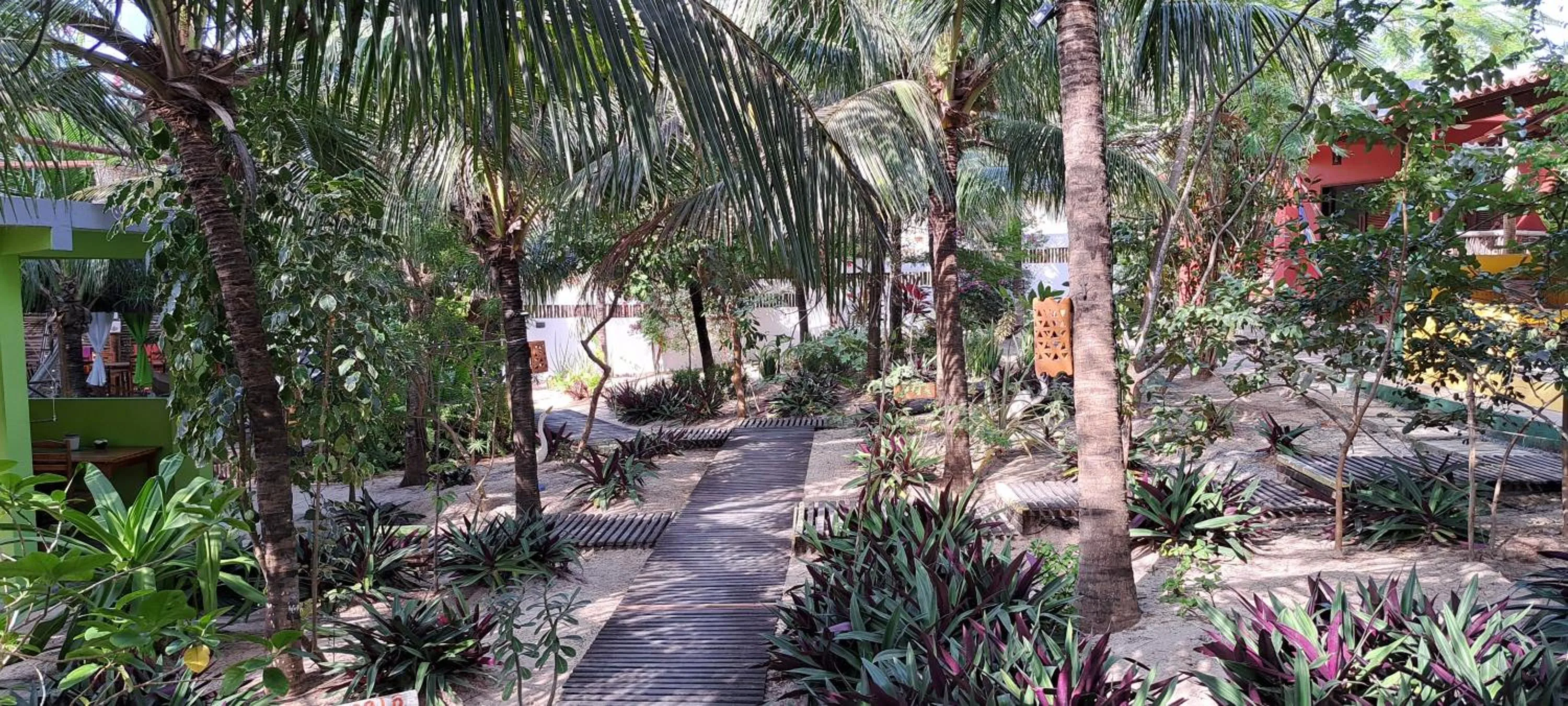 Garden in Pousada Lotus