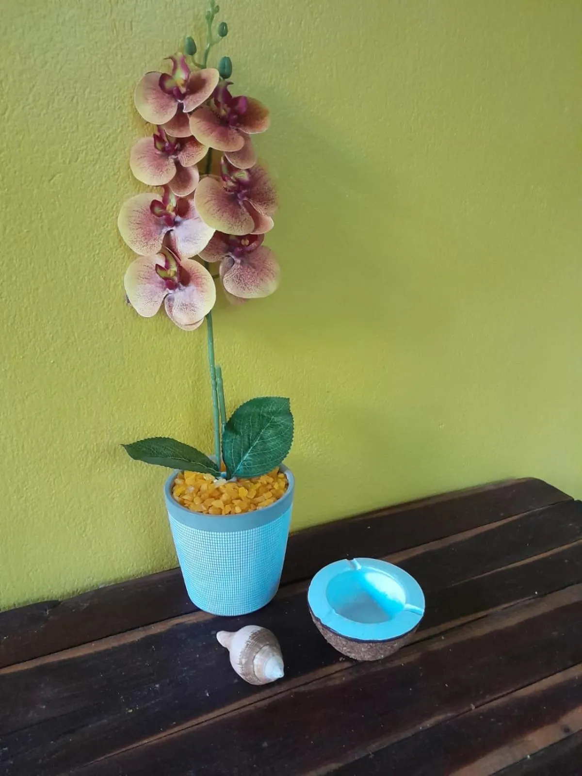 Property building in Pousada Lotus