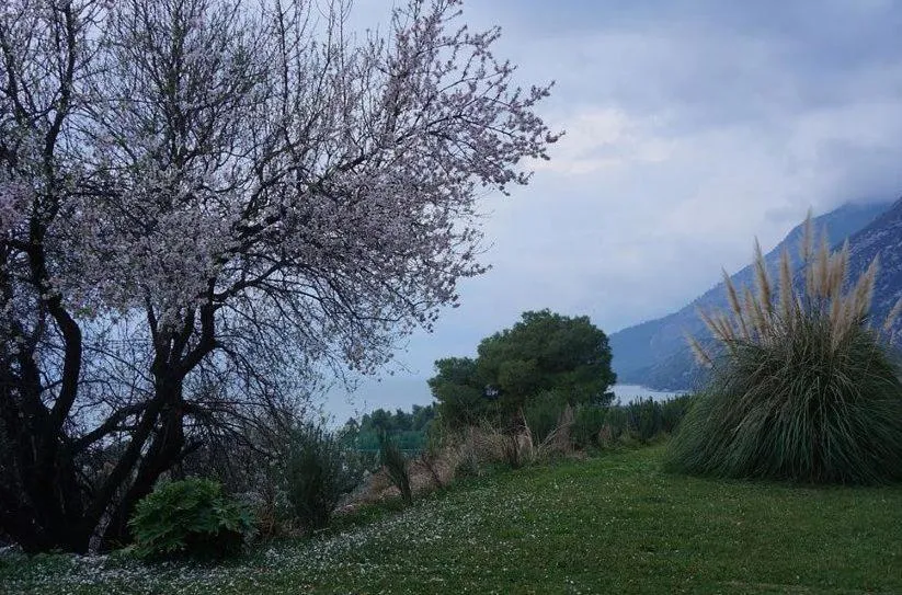 Area and facilities in Pantheon Hotel & Suites