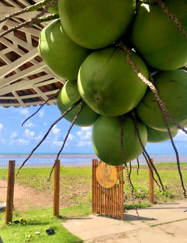 Beach in Condomínio Praias de Maragogi & Casas Deluxe