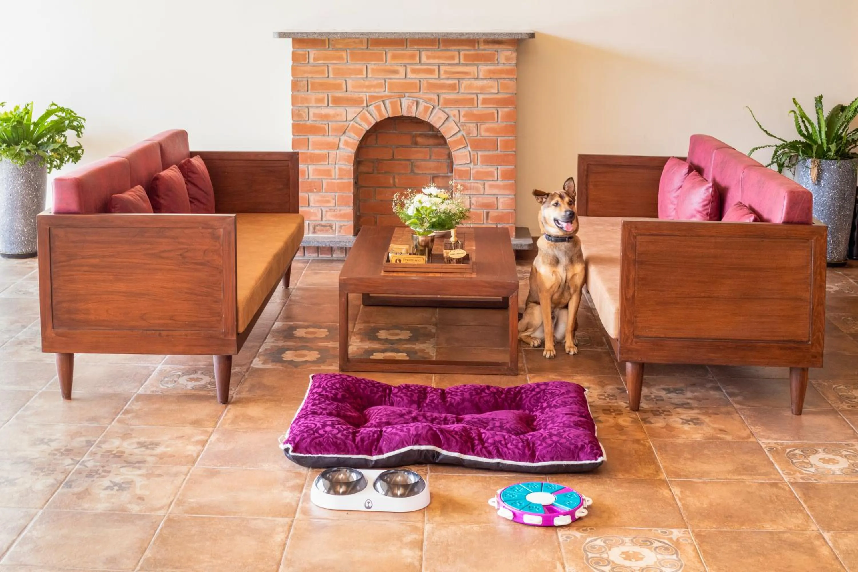 Pets in Aurika, Coorg Luxury by Lemon Tree Hotels