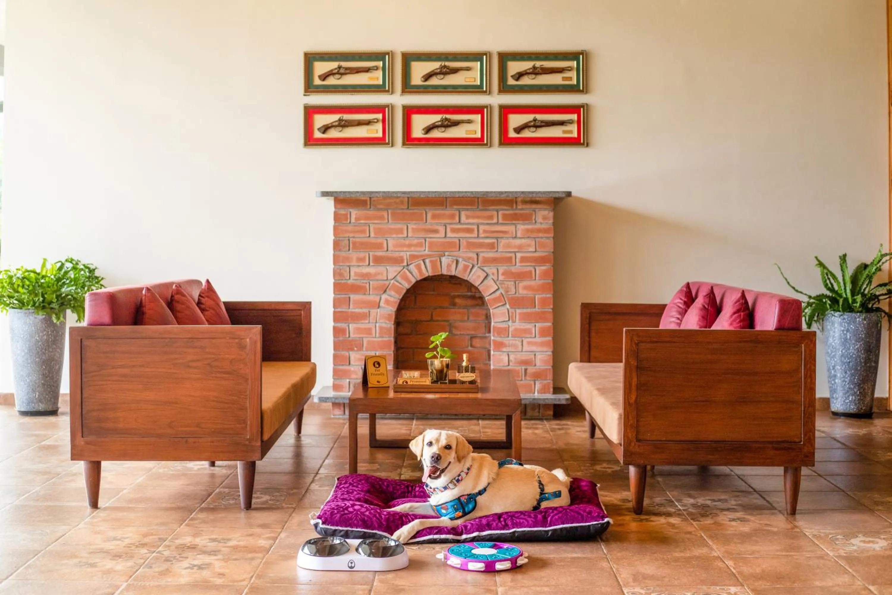 Pets in Aurika, Coorg Luxury by Lemon Tree Hotels