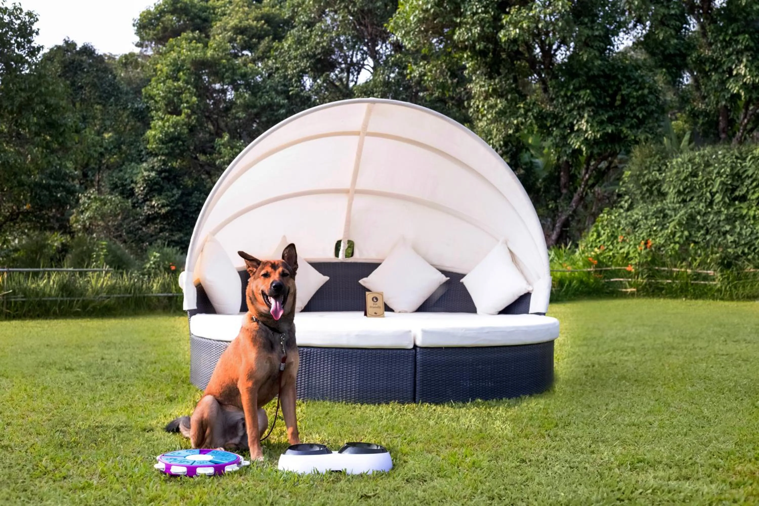 Pets in Aurika, Coorg Luxury by Lemon Tree Hotels