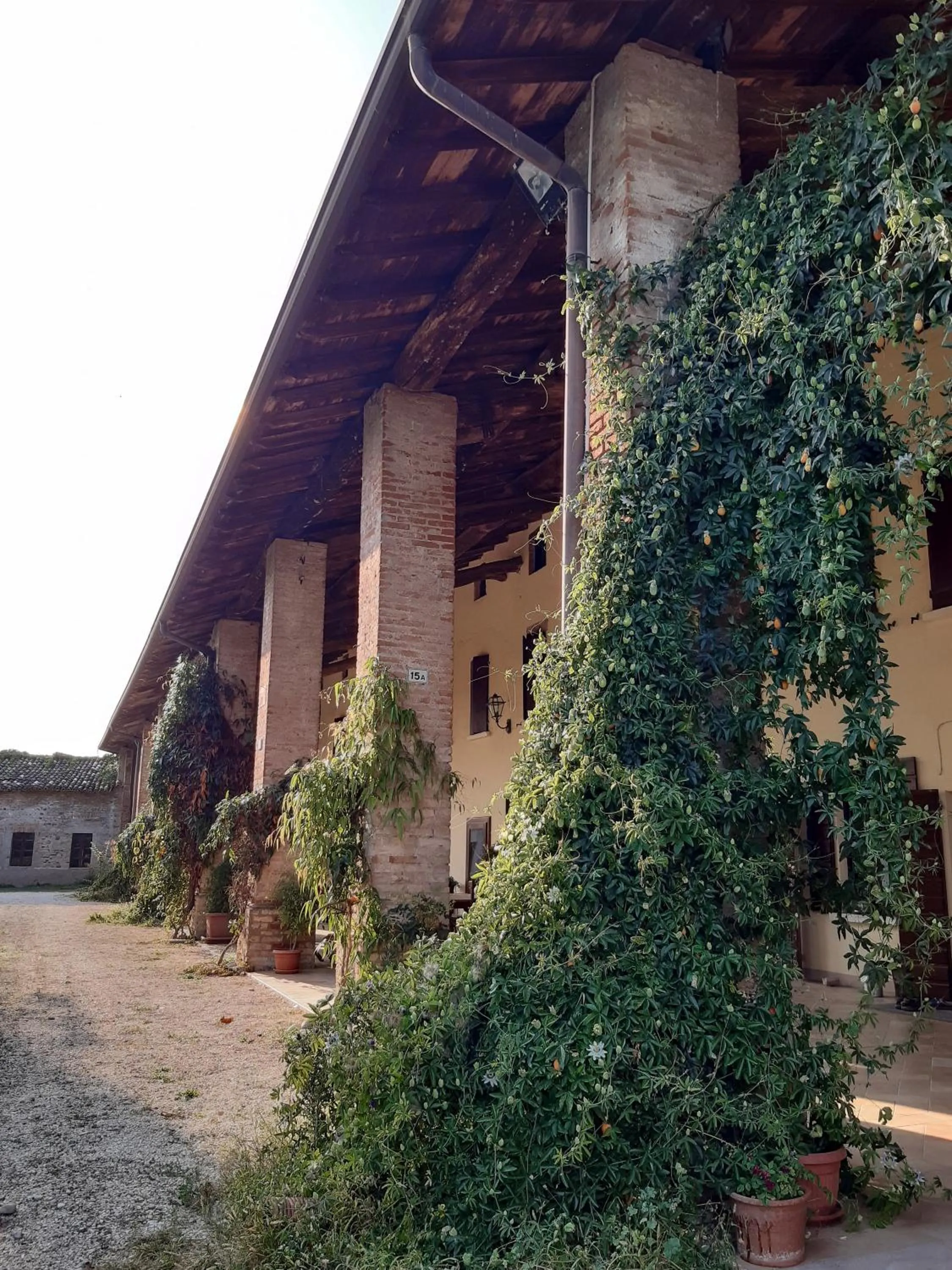 Patio in B&B Santa Cristina