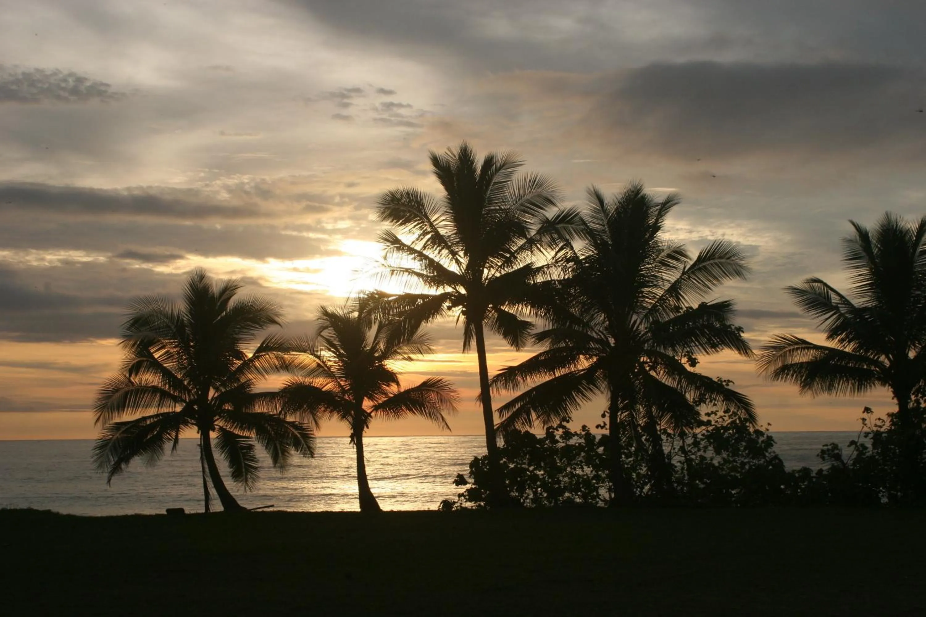 Natural landscape in Banana Beach Bungalows