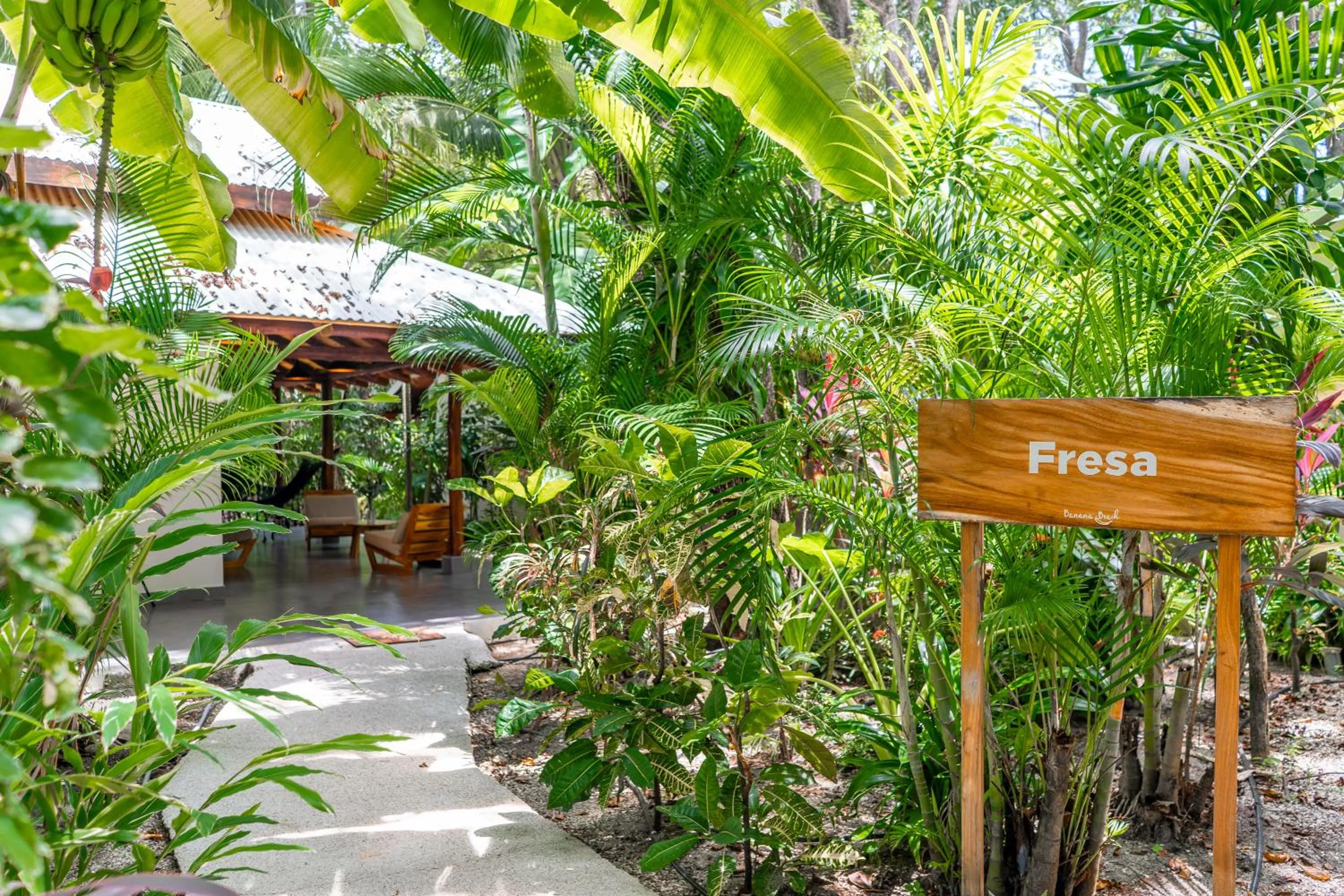 Garden in Banana Beach Bungalows