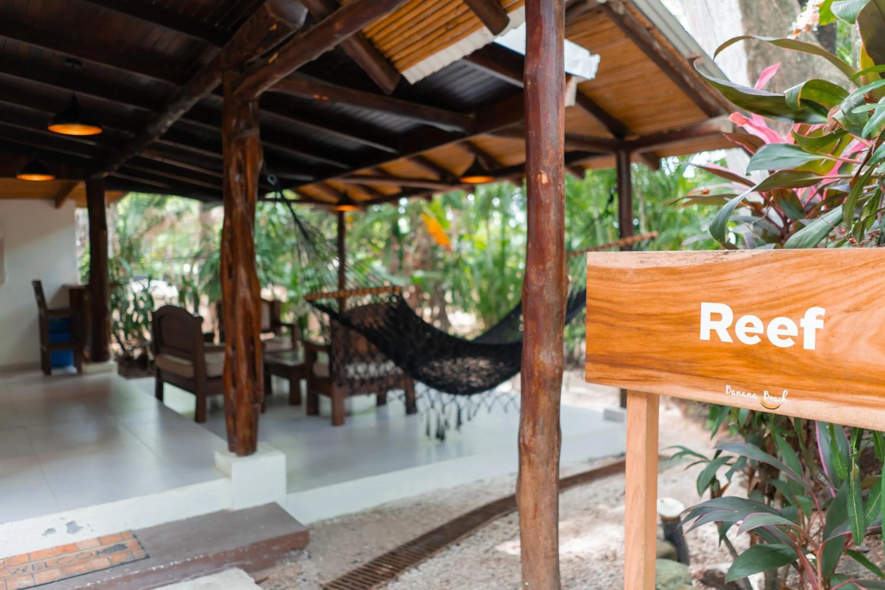 Patio in Banana Beach Bungalows