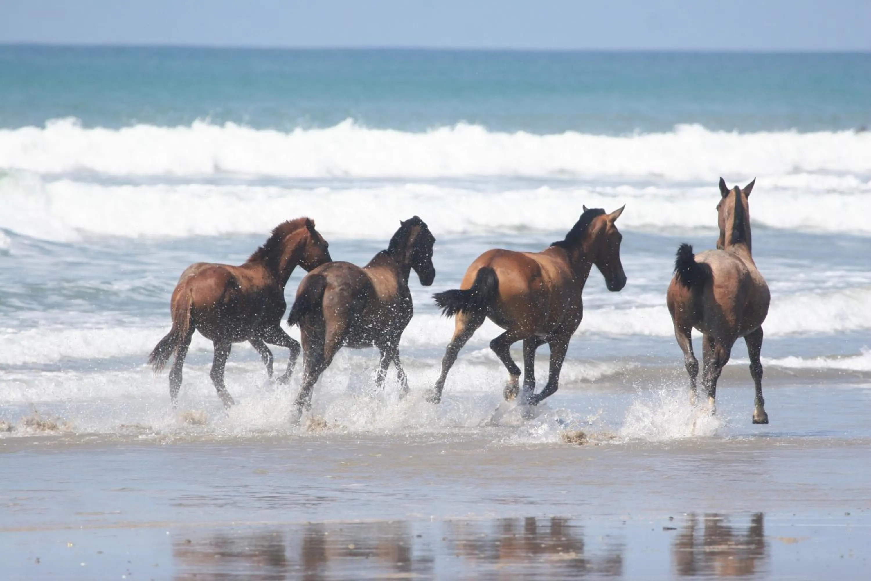 Natural landscape in Banana Beach Bungalows