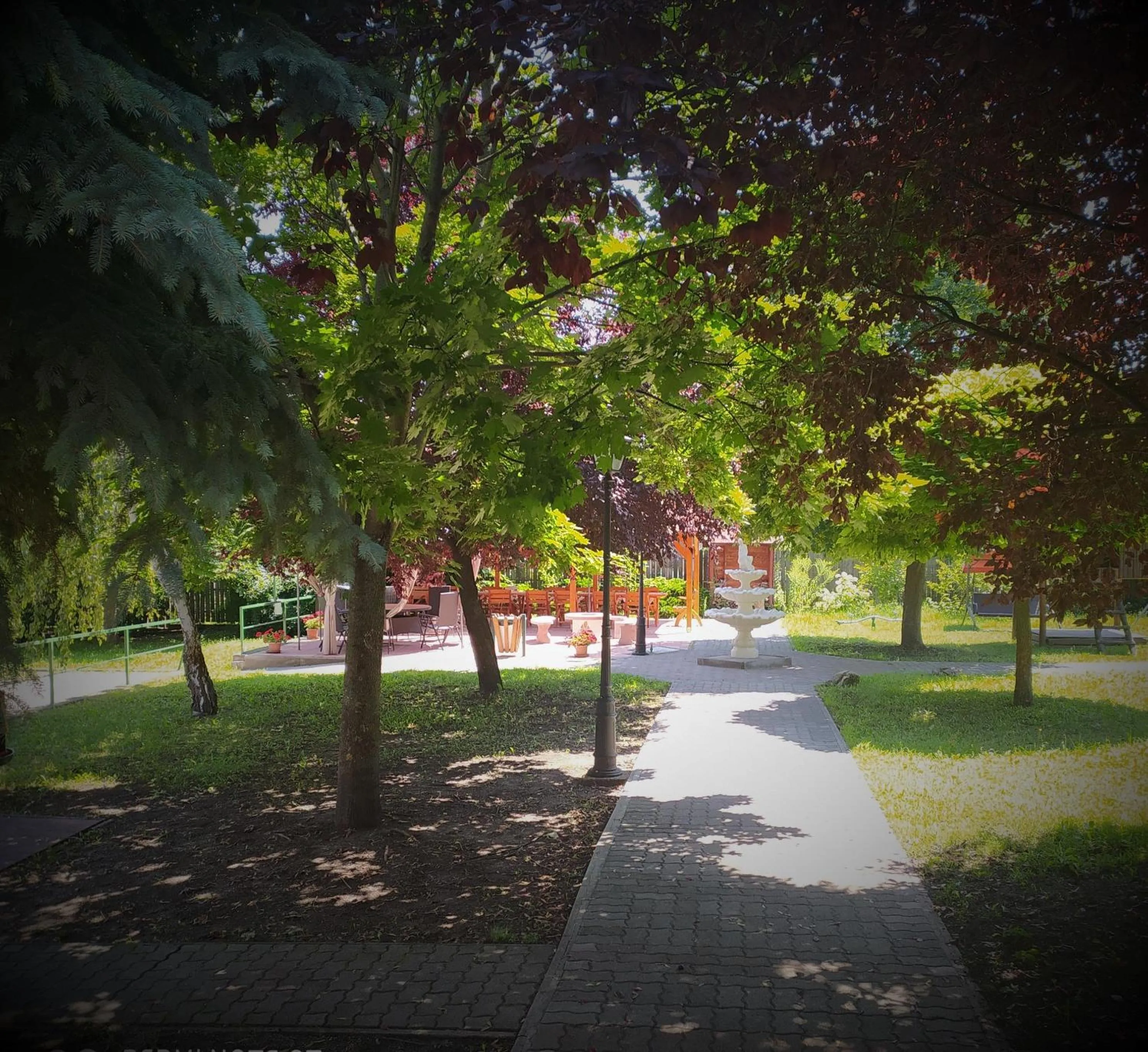Garden in Bacchus Panzió