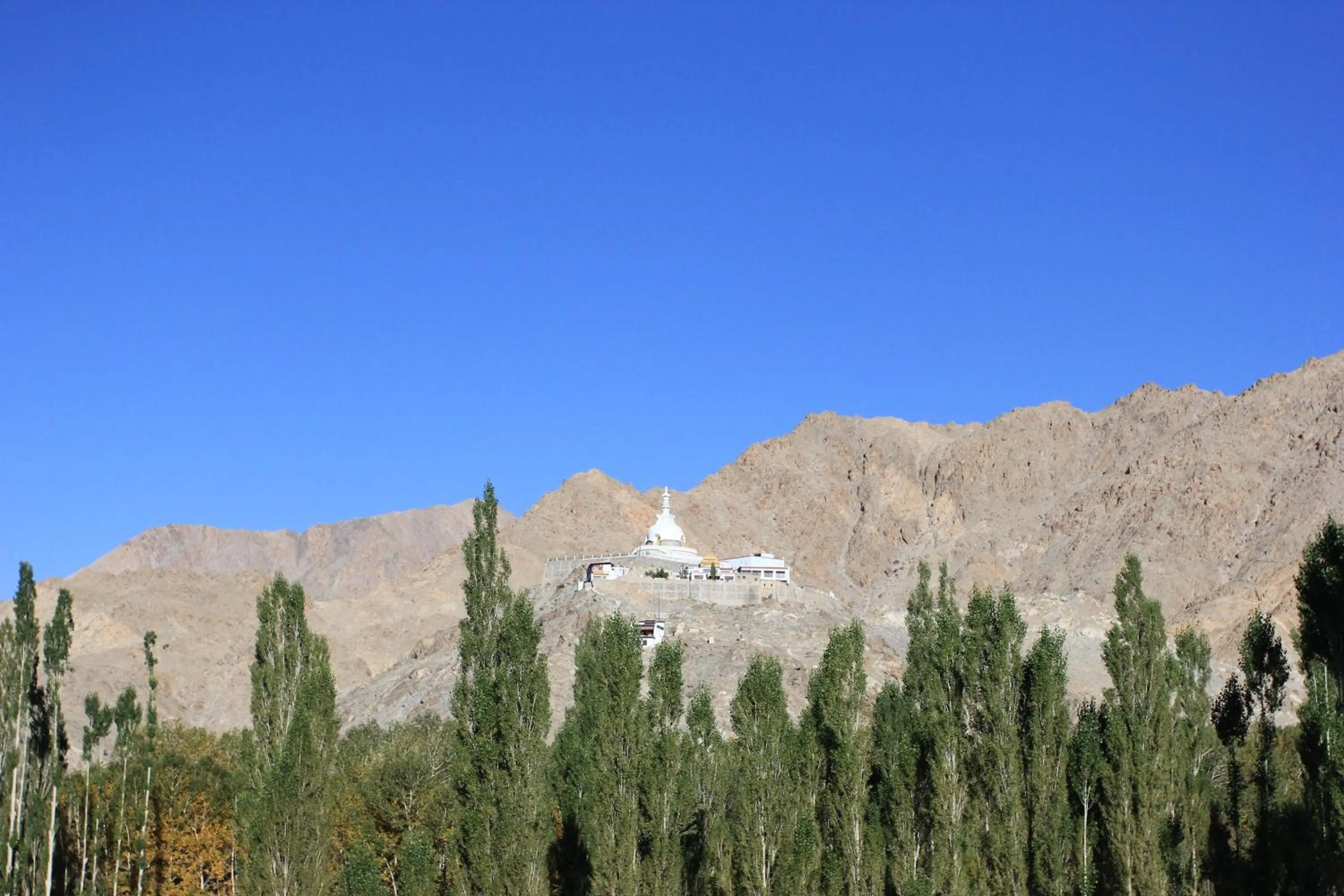 View (from property/room) in Hotel Nalanda Ladakh