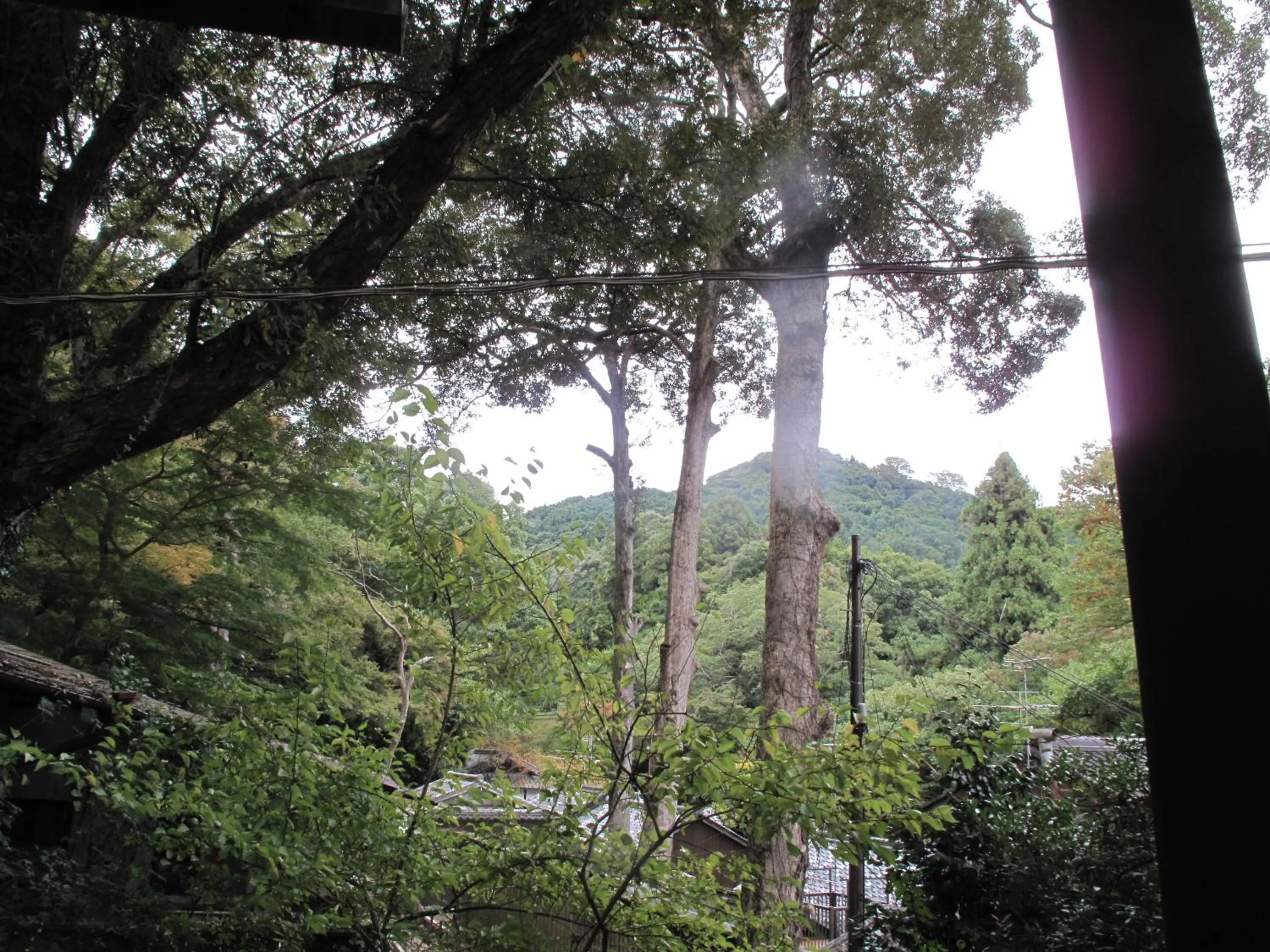 Area and facilities in The Deer Park Inn