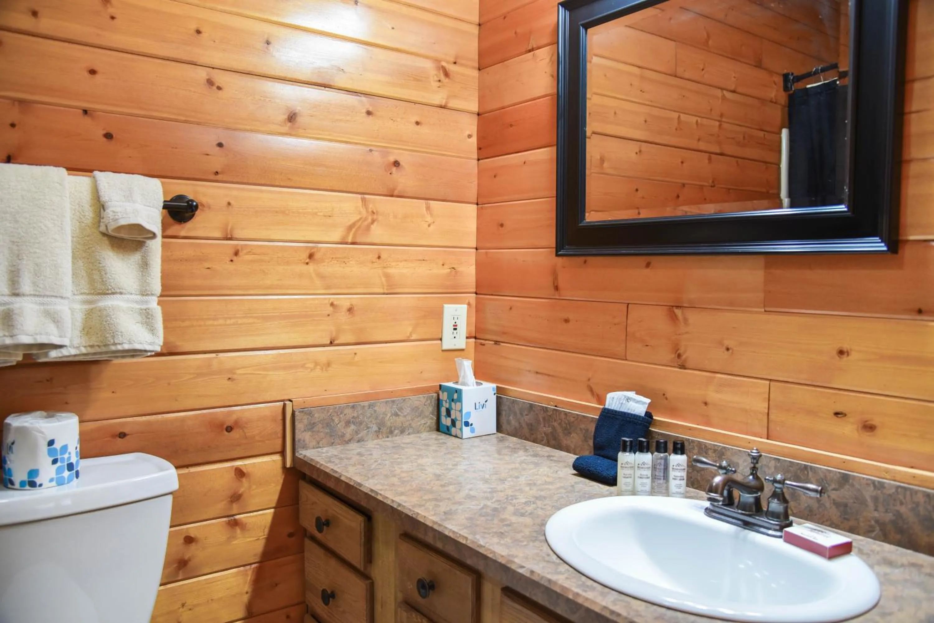 Property building in Mountain Memories, Walk To Ski Area, Town, Fishing