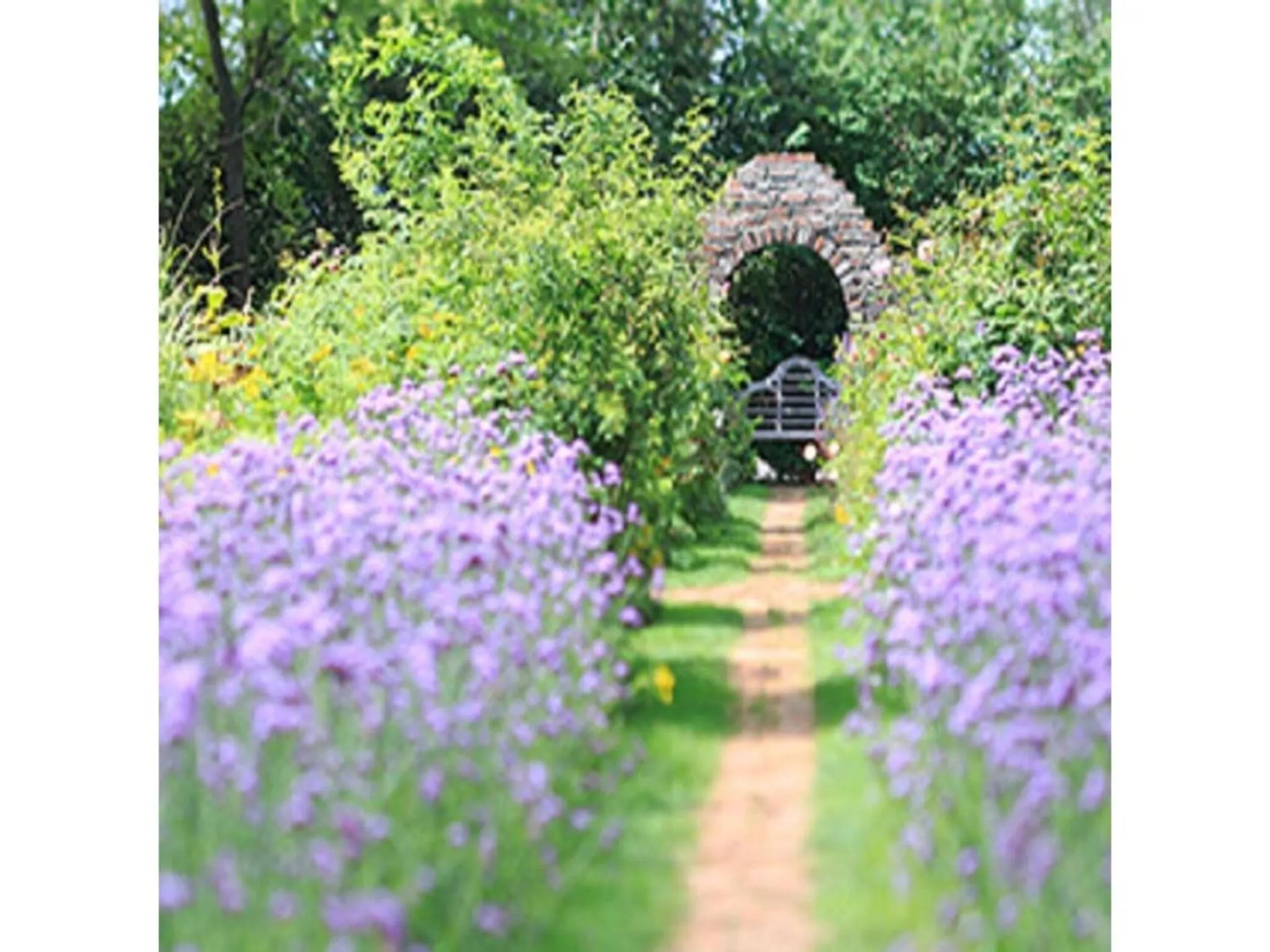 Y's Hotel Asahikawa Ekimae - Vacation STAY 65443v