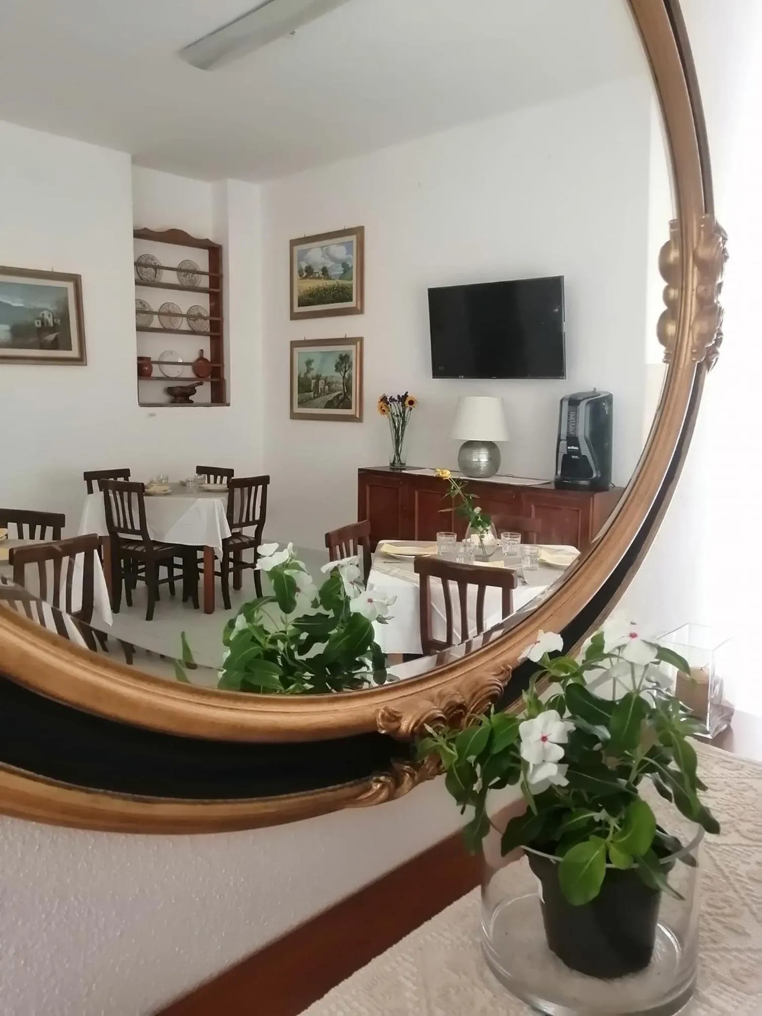 Communal lounge/ TV room in Hotel Soleo