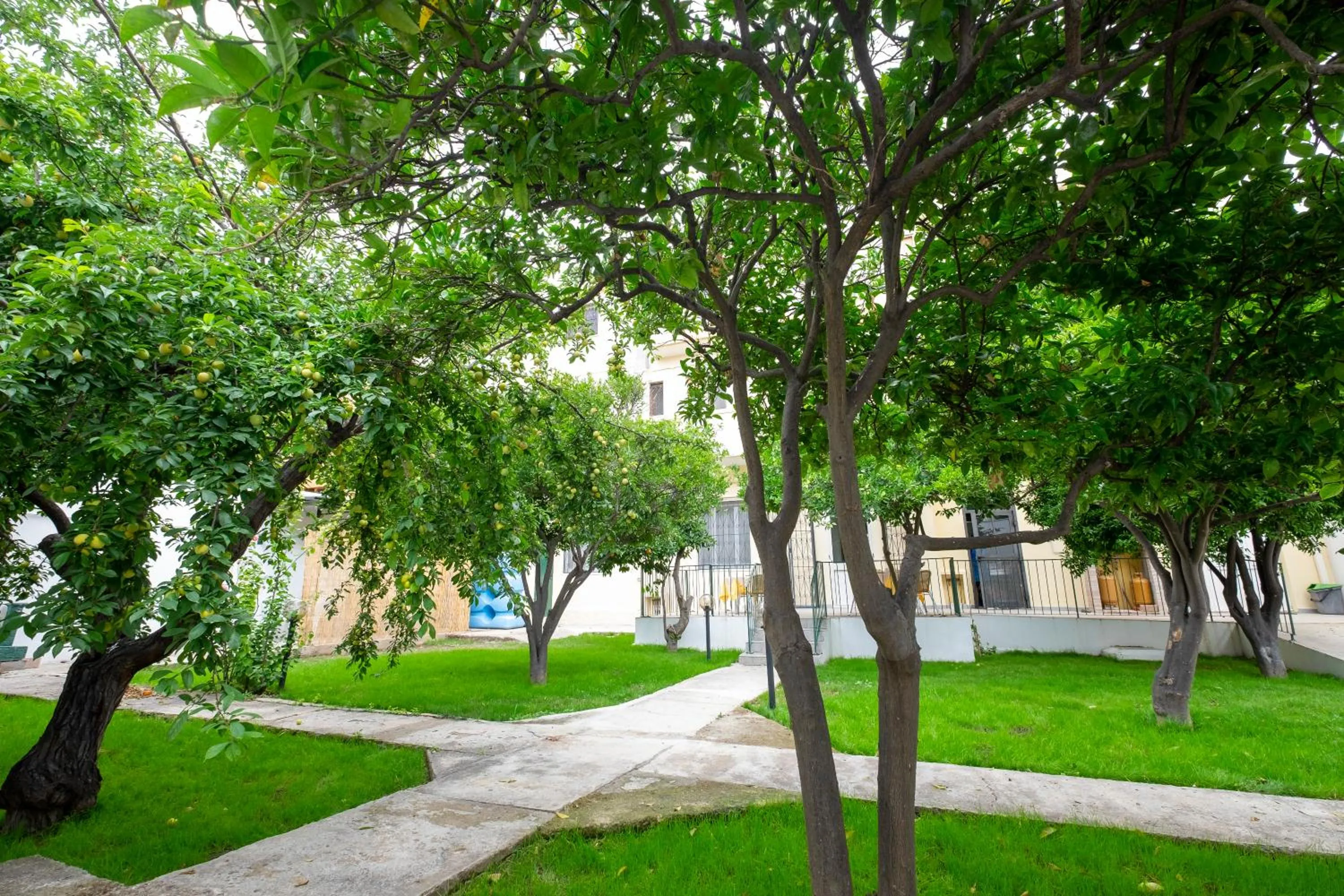 Garden in Hotel Soleo
