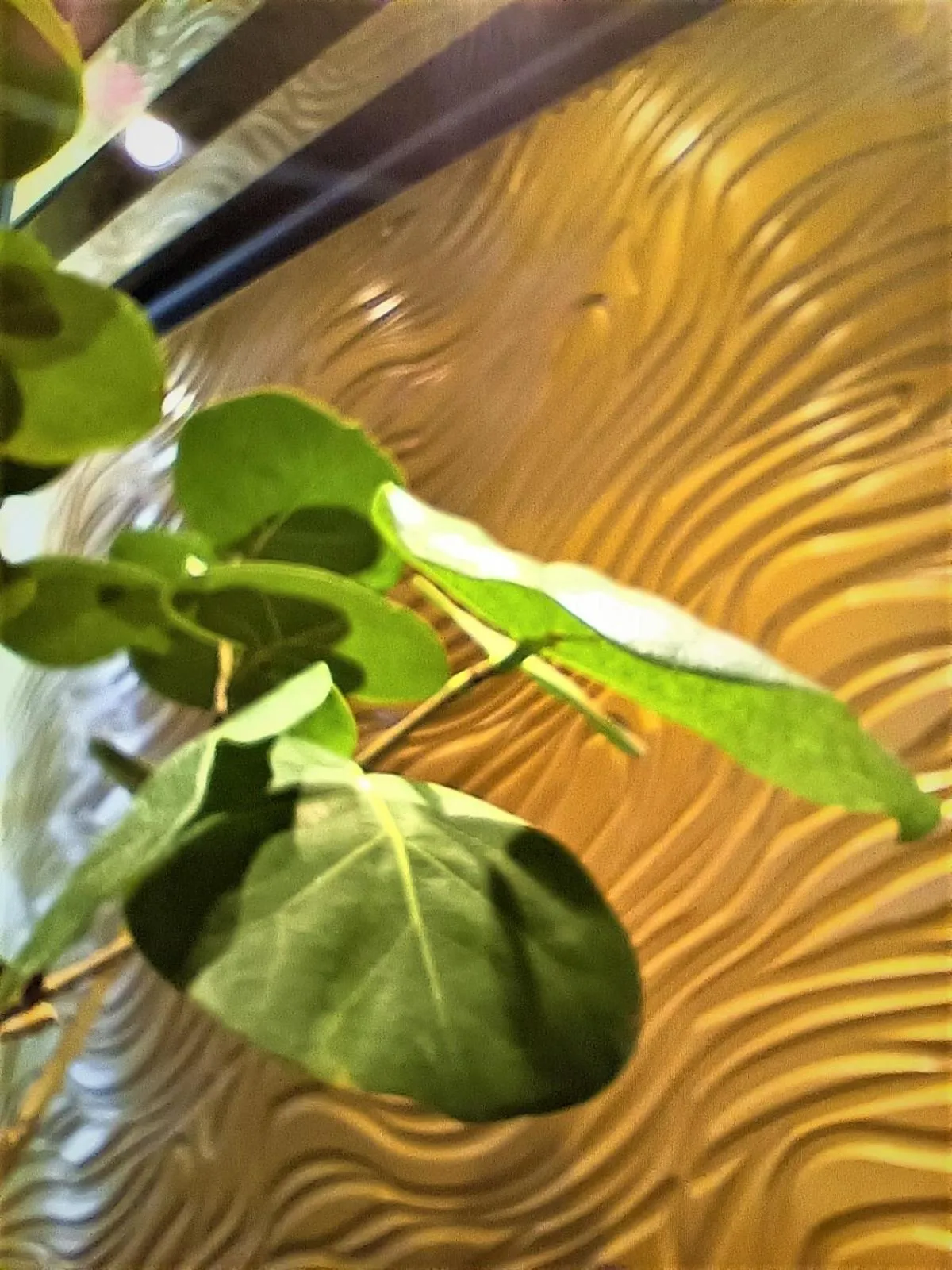 Lobby or reception in Well Garden Hotel