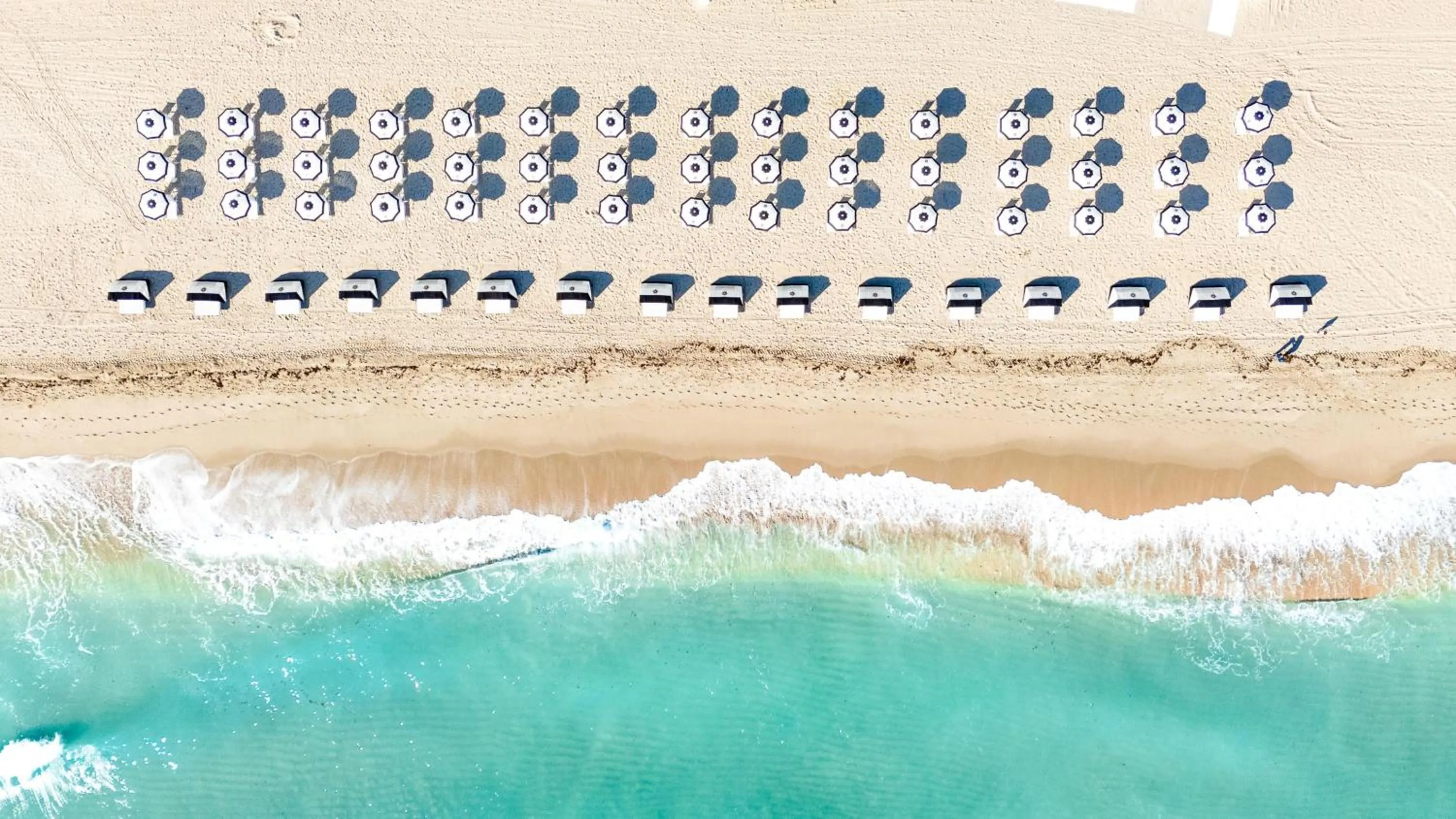 Beach in The Diplomat Beach Resort Hollywood, Curio Collection by Hilton