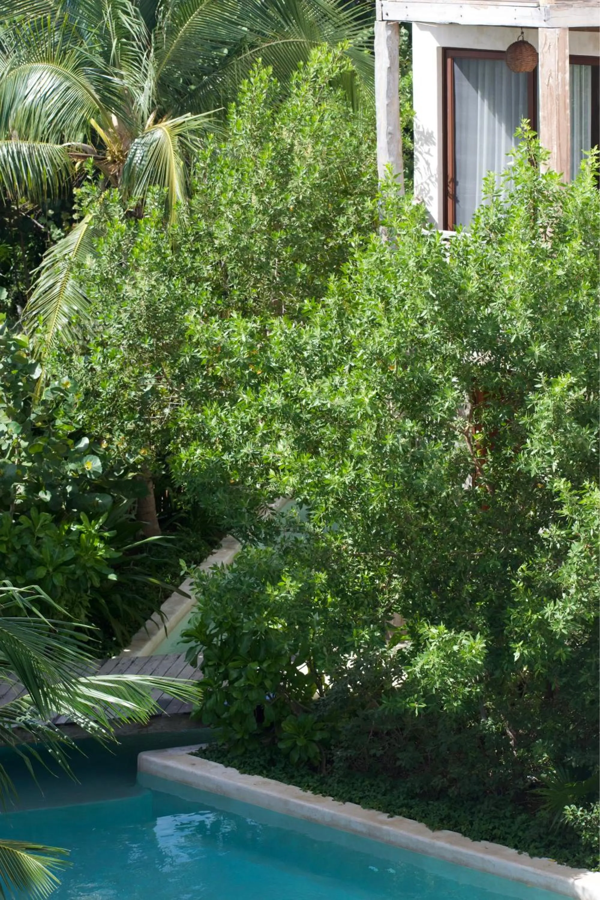 Garden in Nerea Tulum