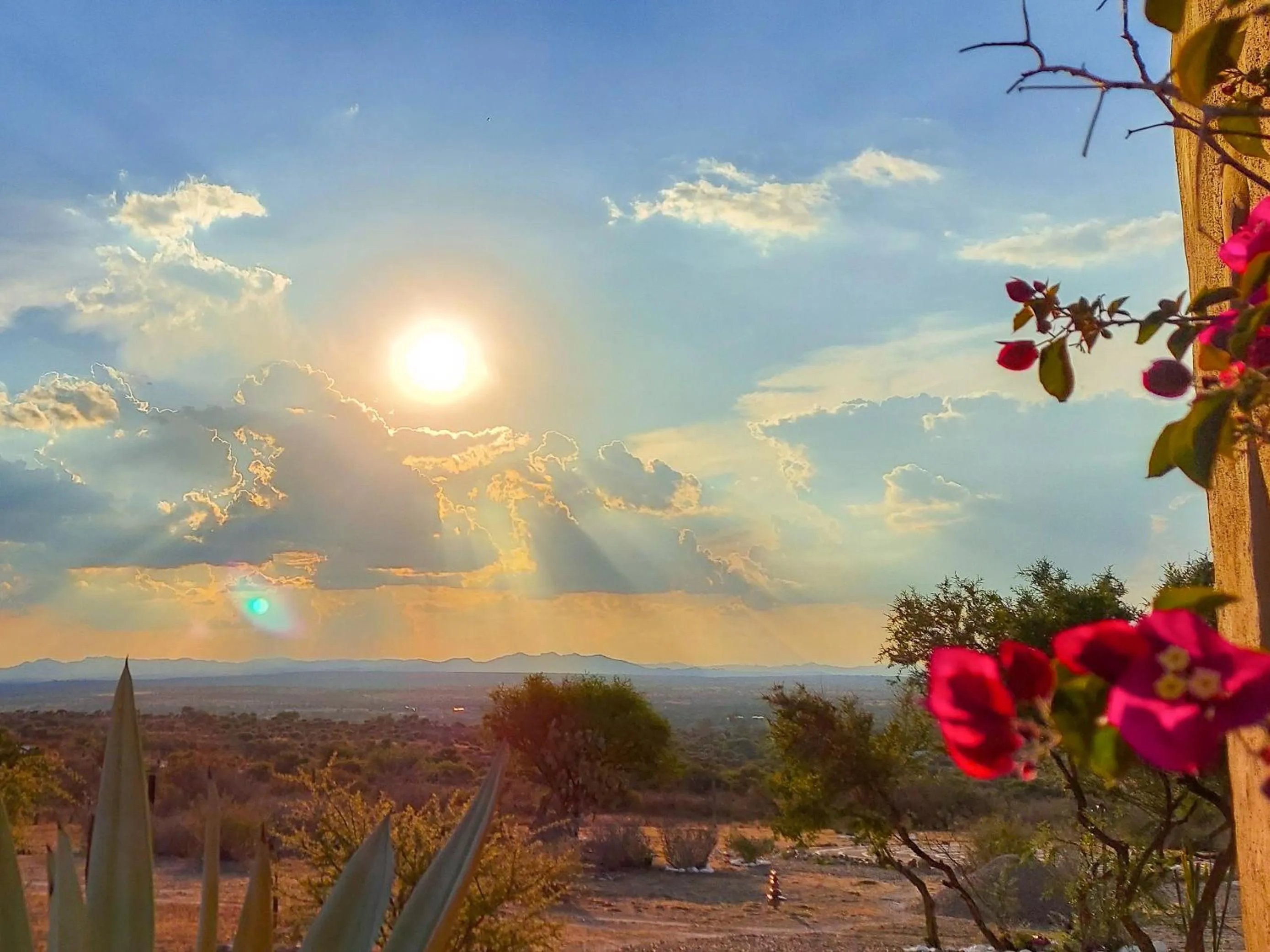 Natural landscape in ZenZontle GlampingSMA