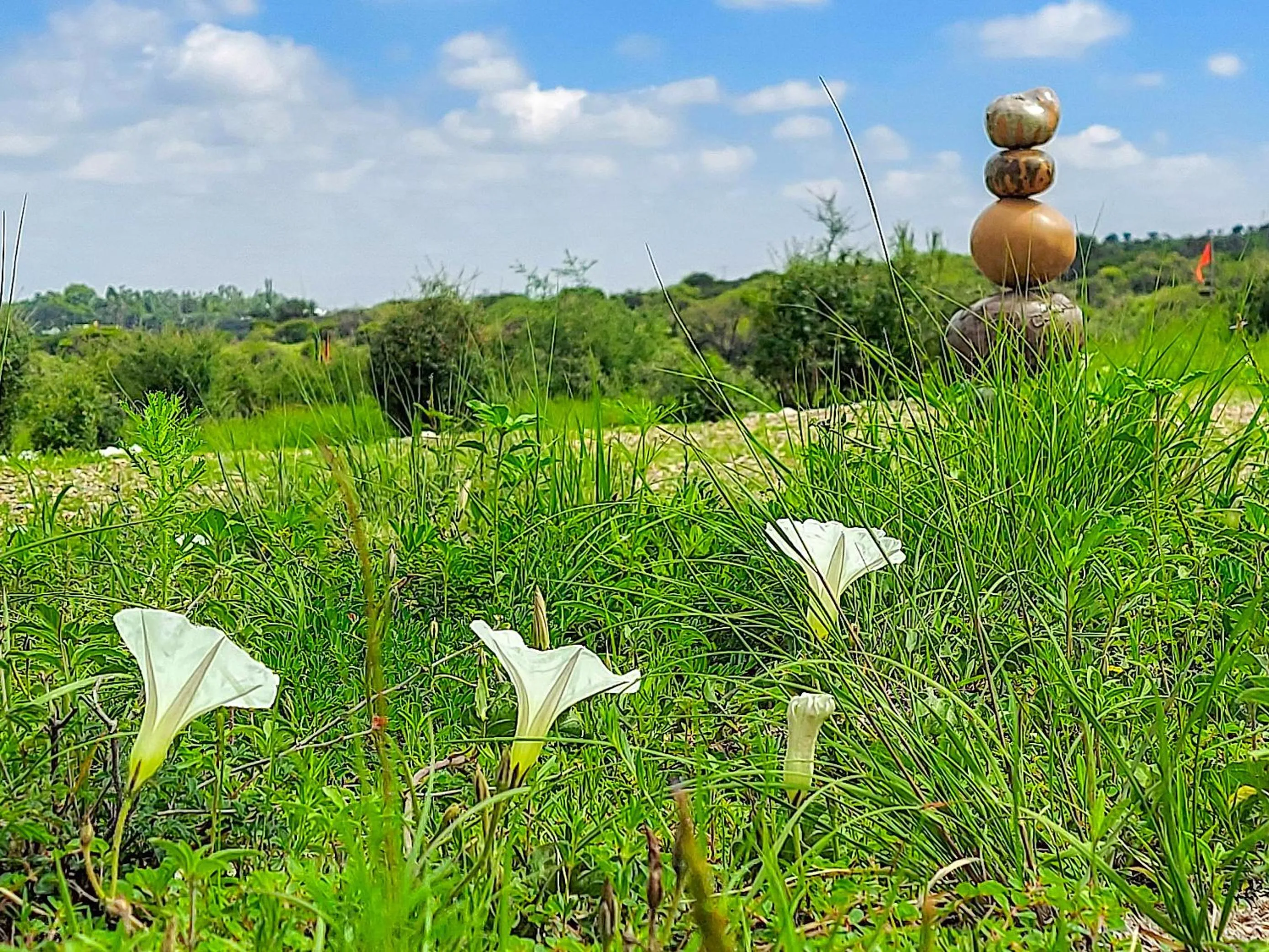 Natural landscape in ZenZontle GlampingSMA