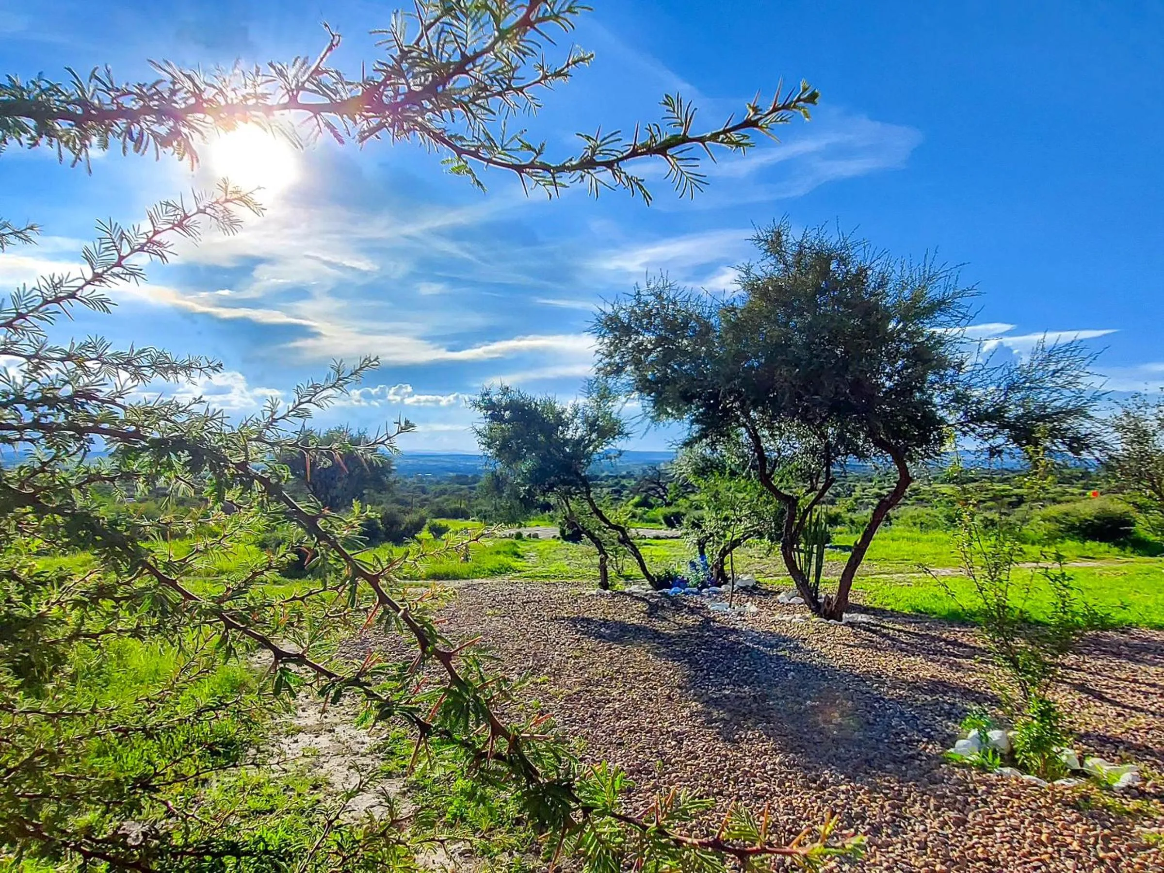 Natural landscape in ZenZontle GlampingSMA