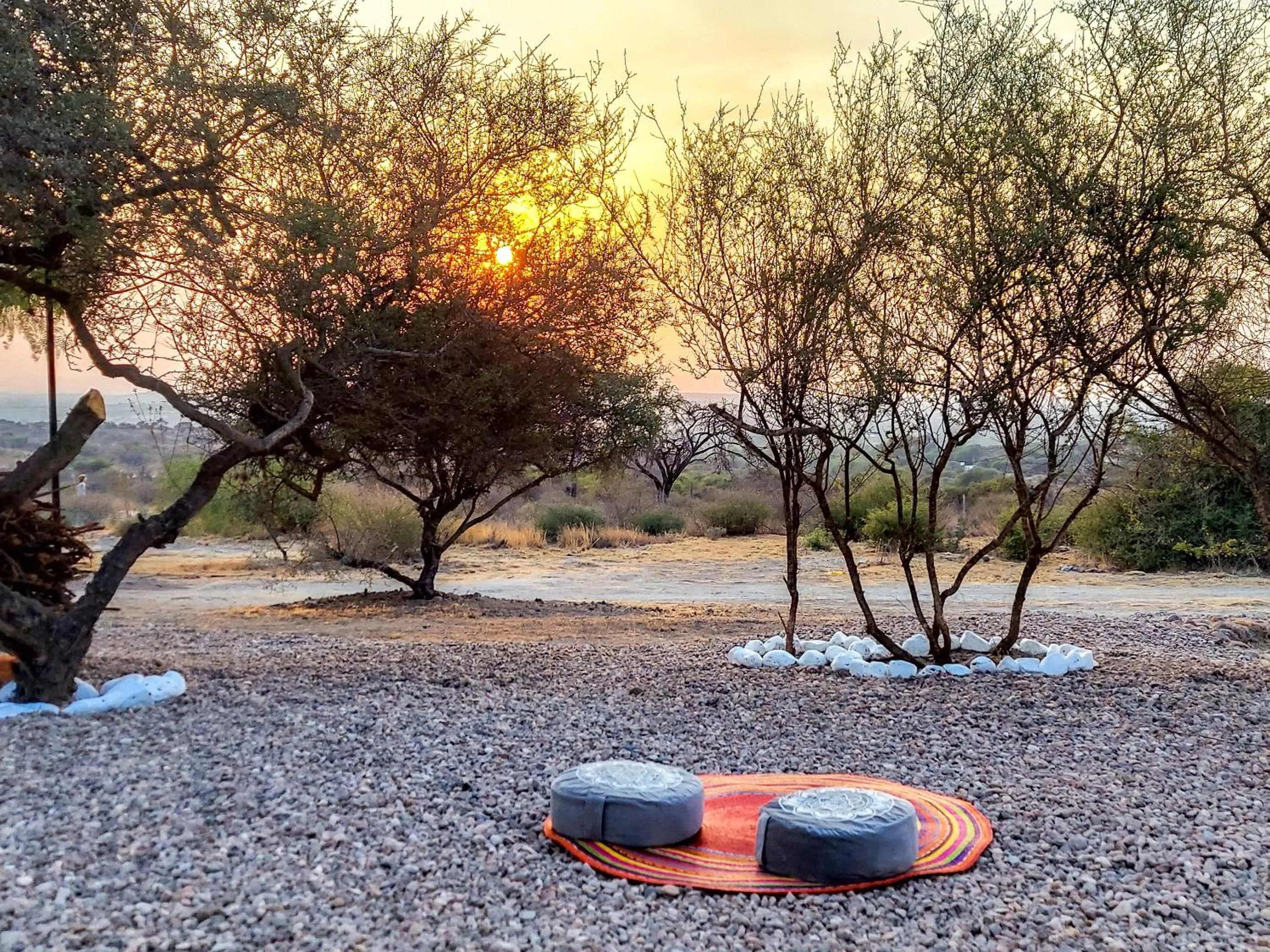 Garden in ZenZontle GlampingSMA