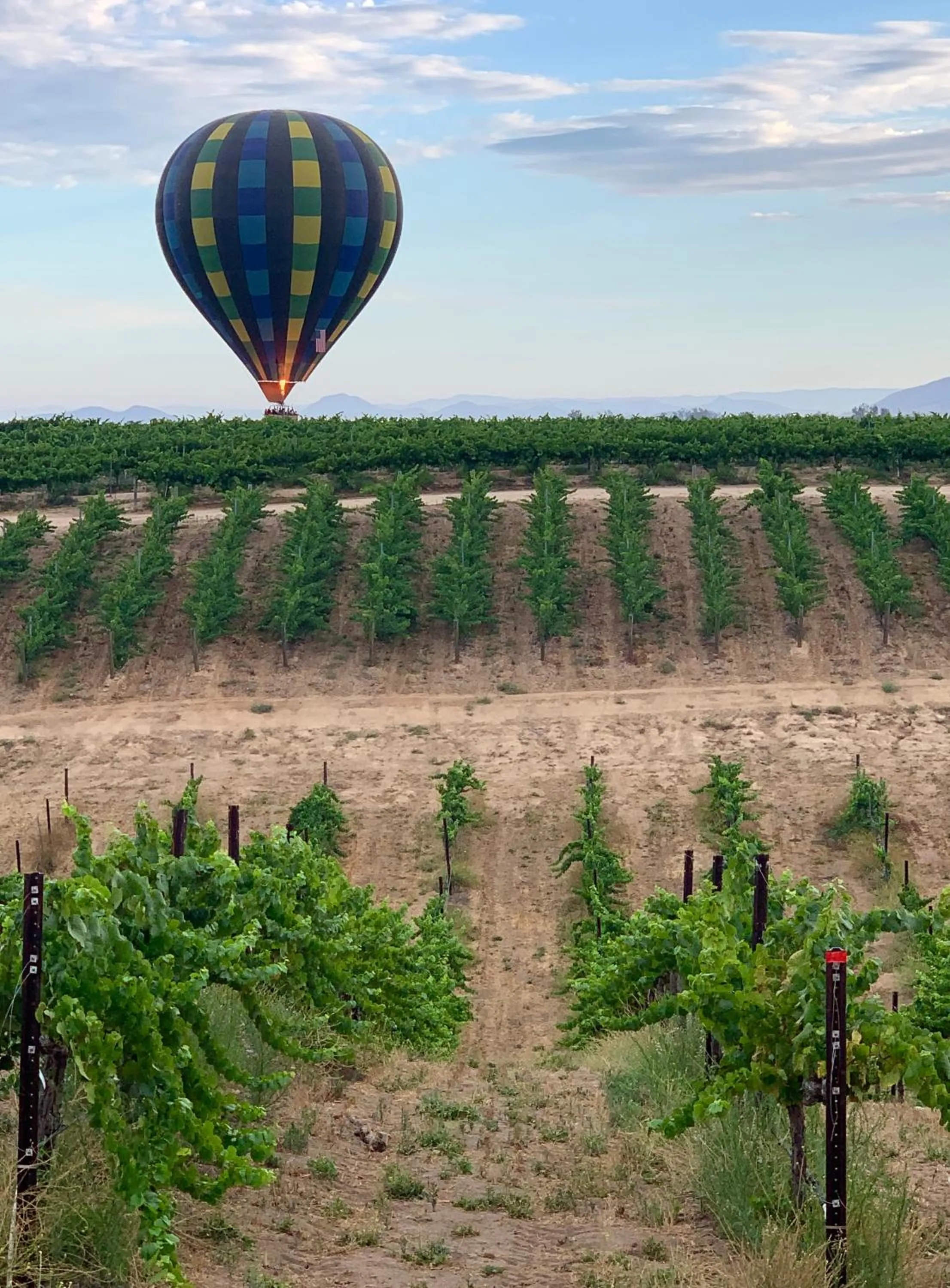 View (from property/room) in Domaine Chardonnay