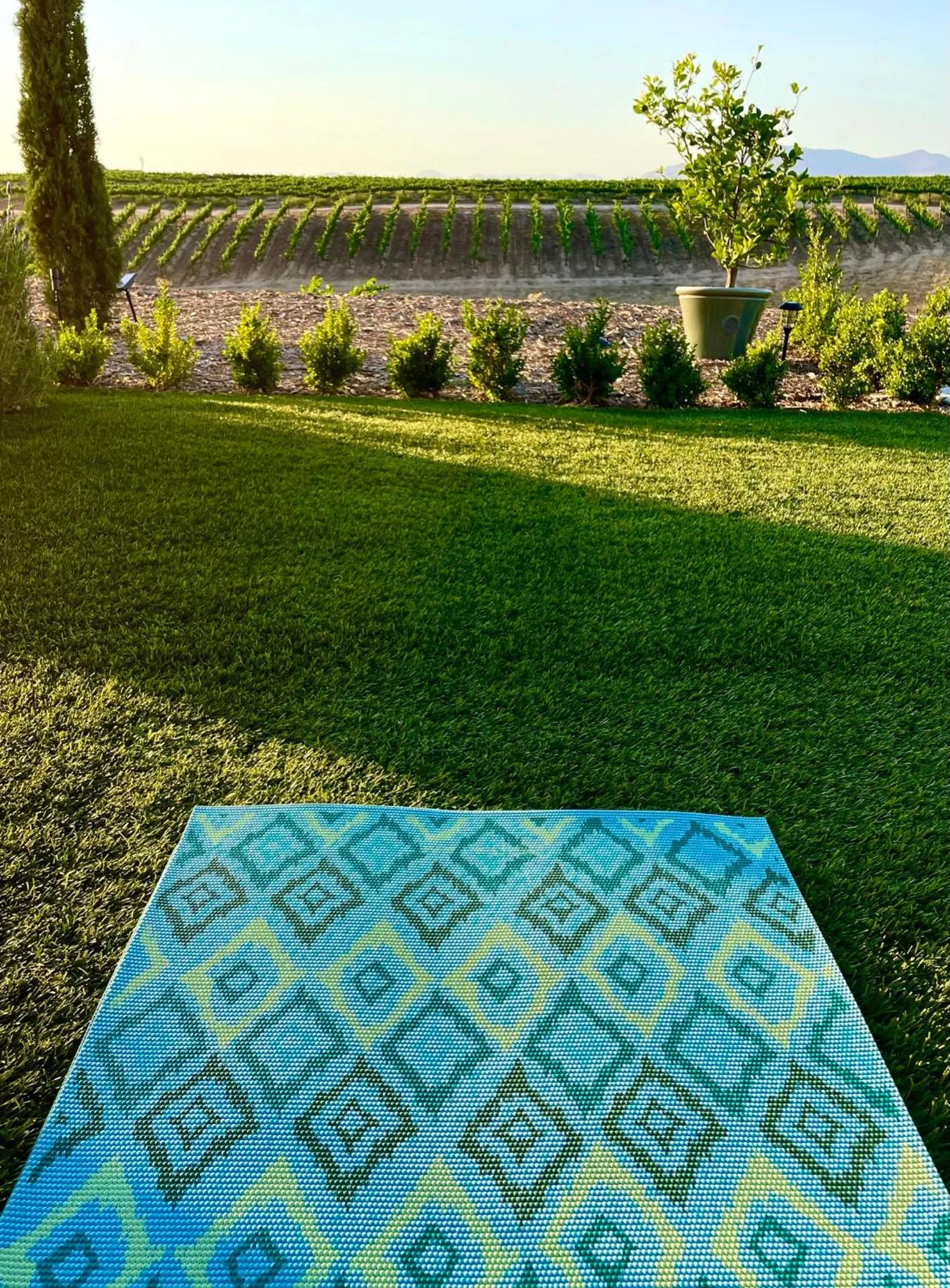 Garden in Domaine Chardonnay