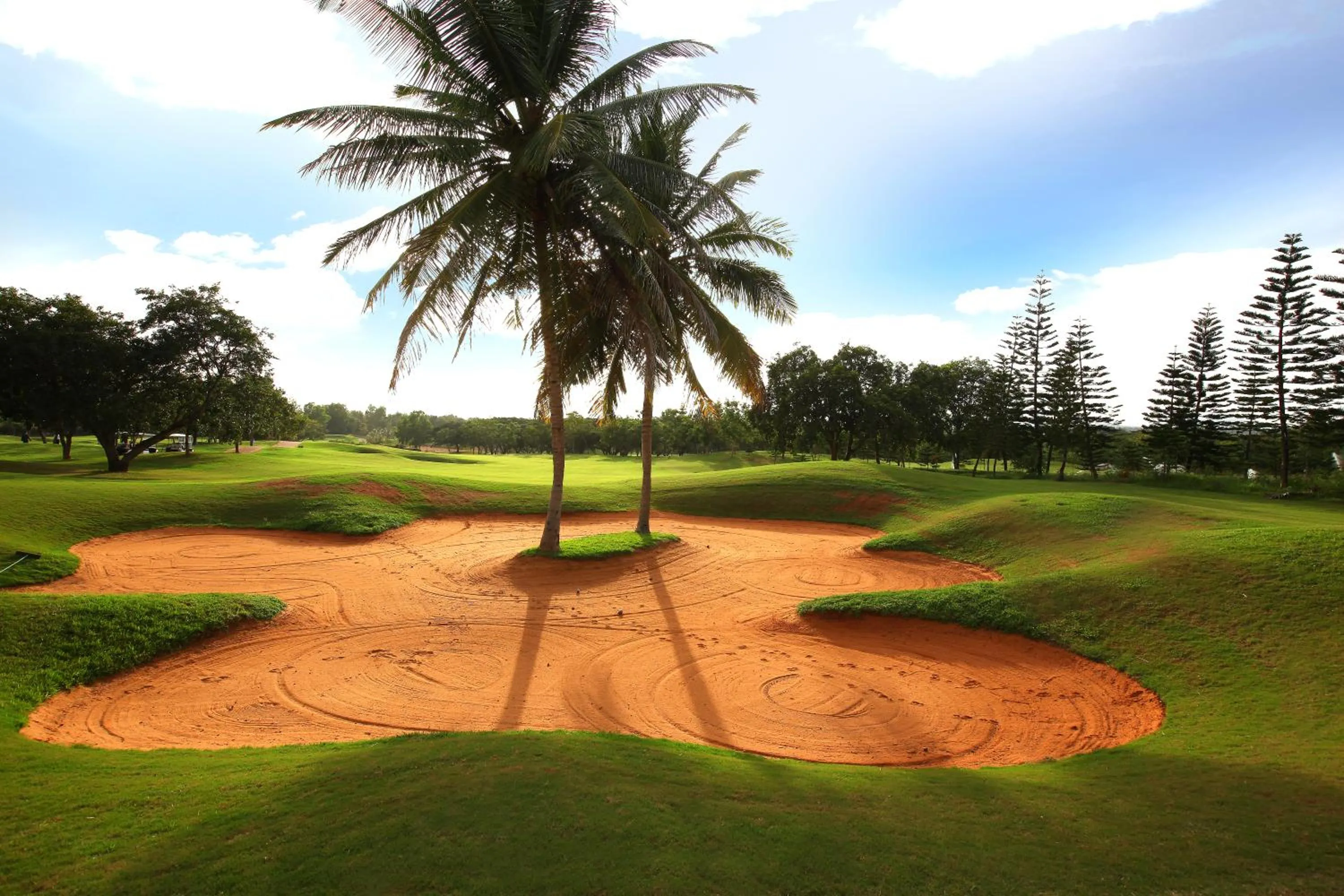 Golfcourse in Eagleton The Golf Resort