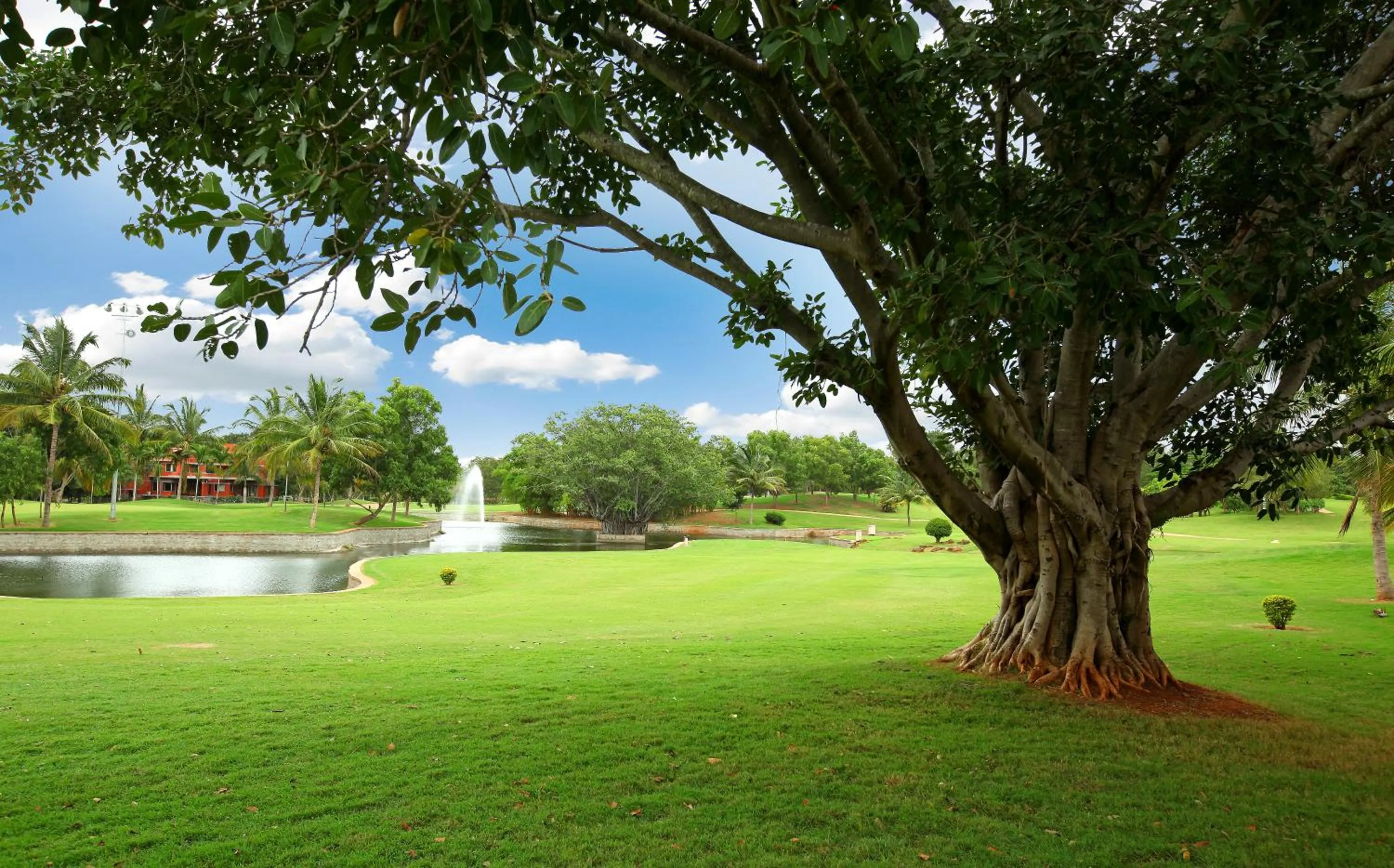 Golfcourse in Eagleton The Golf Resort