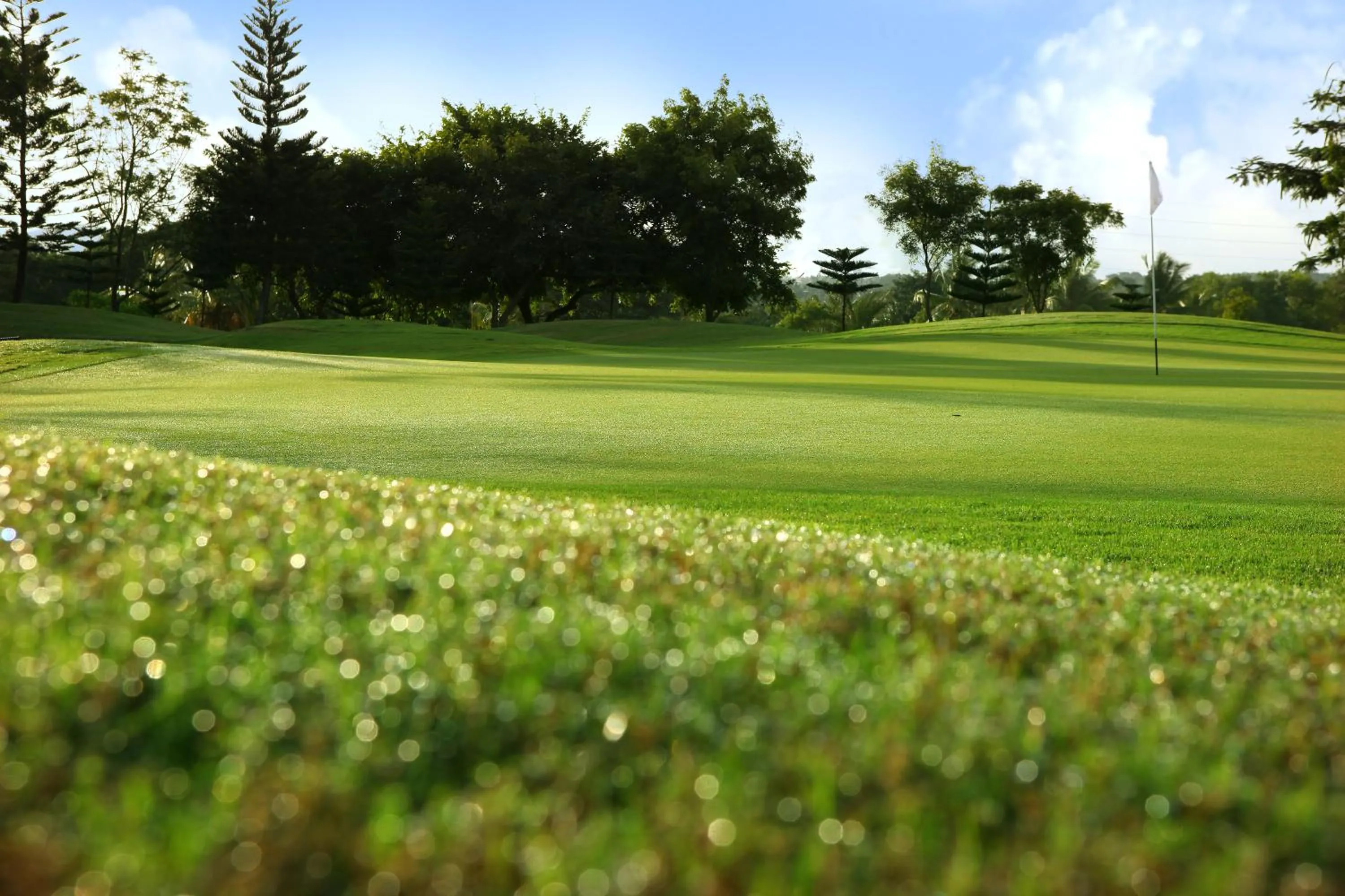 Golfcourse in Eagleton The Golf Resort