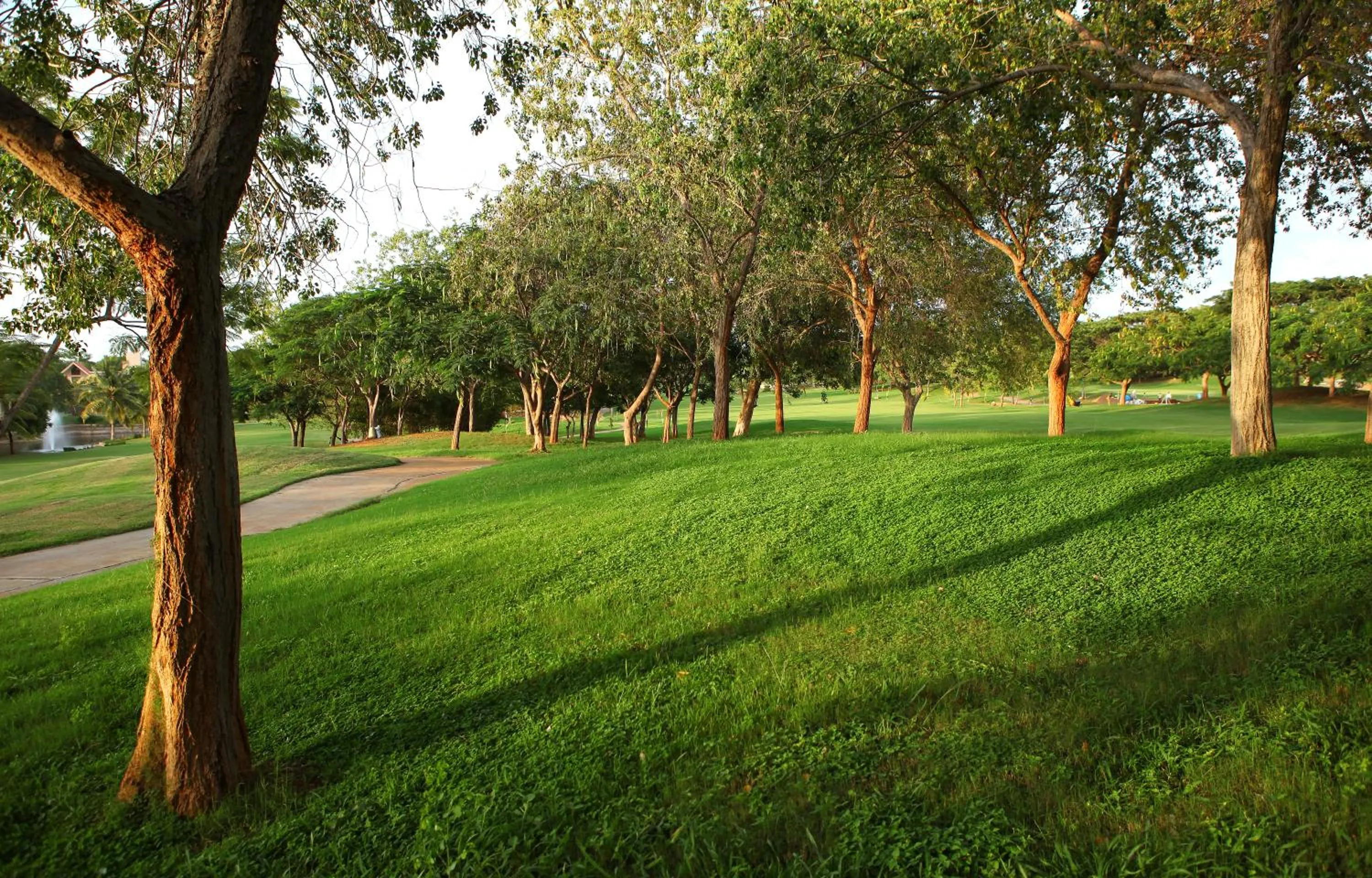 Golfcourse in Eagleton The Golf Resort