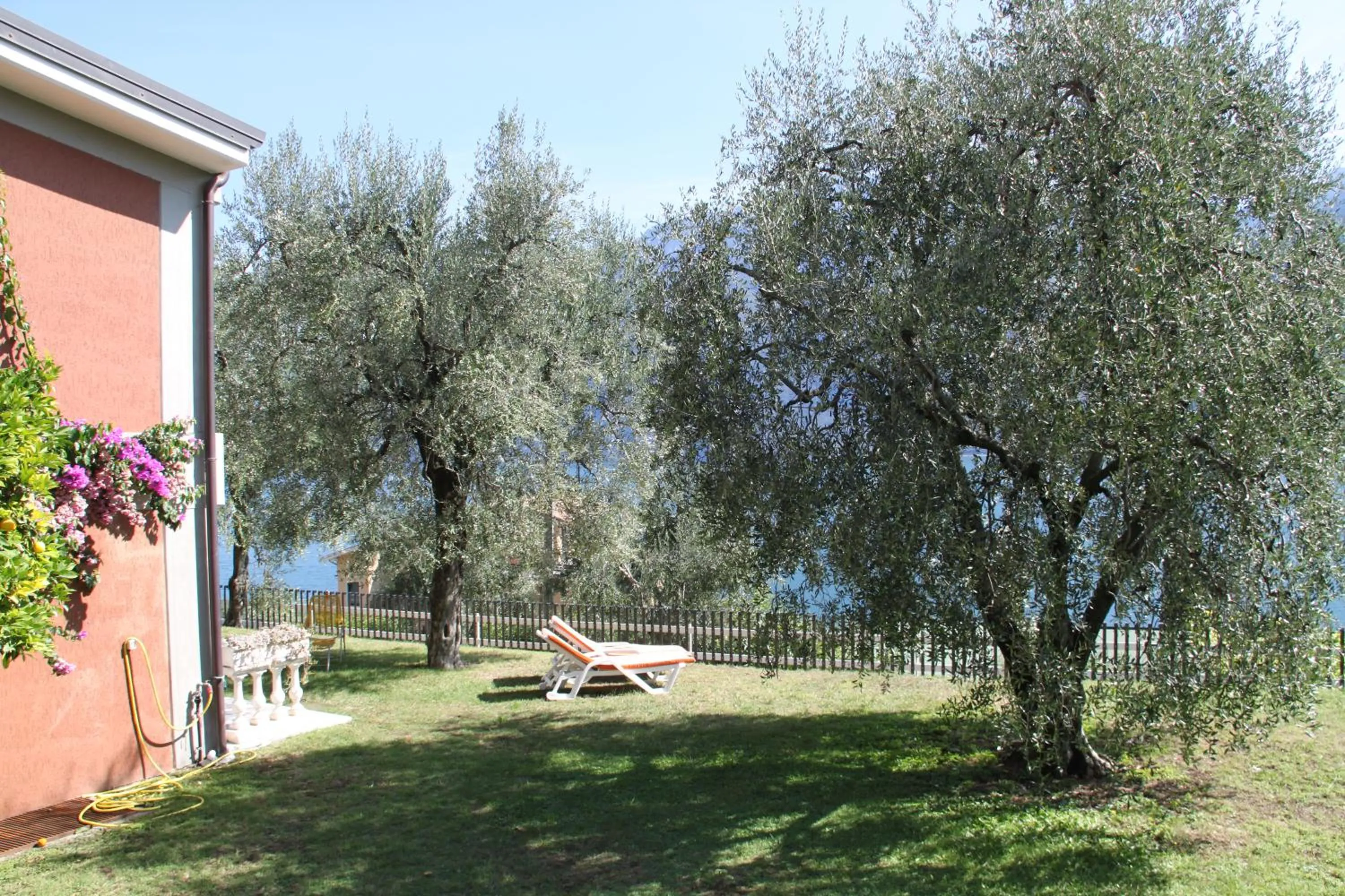 Garden view in Hotel Riviera Panoramic Green Resort