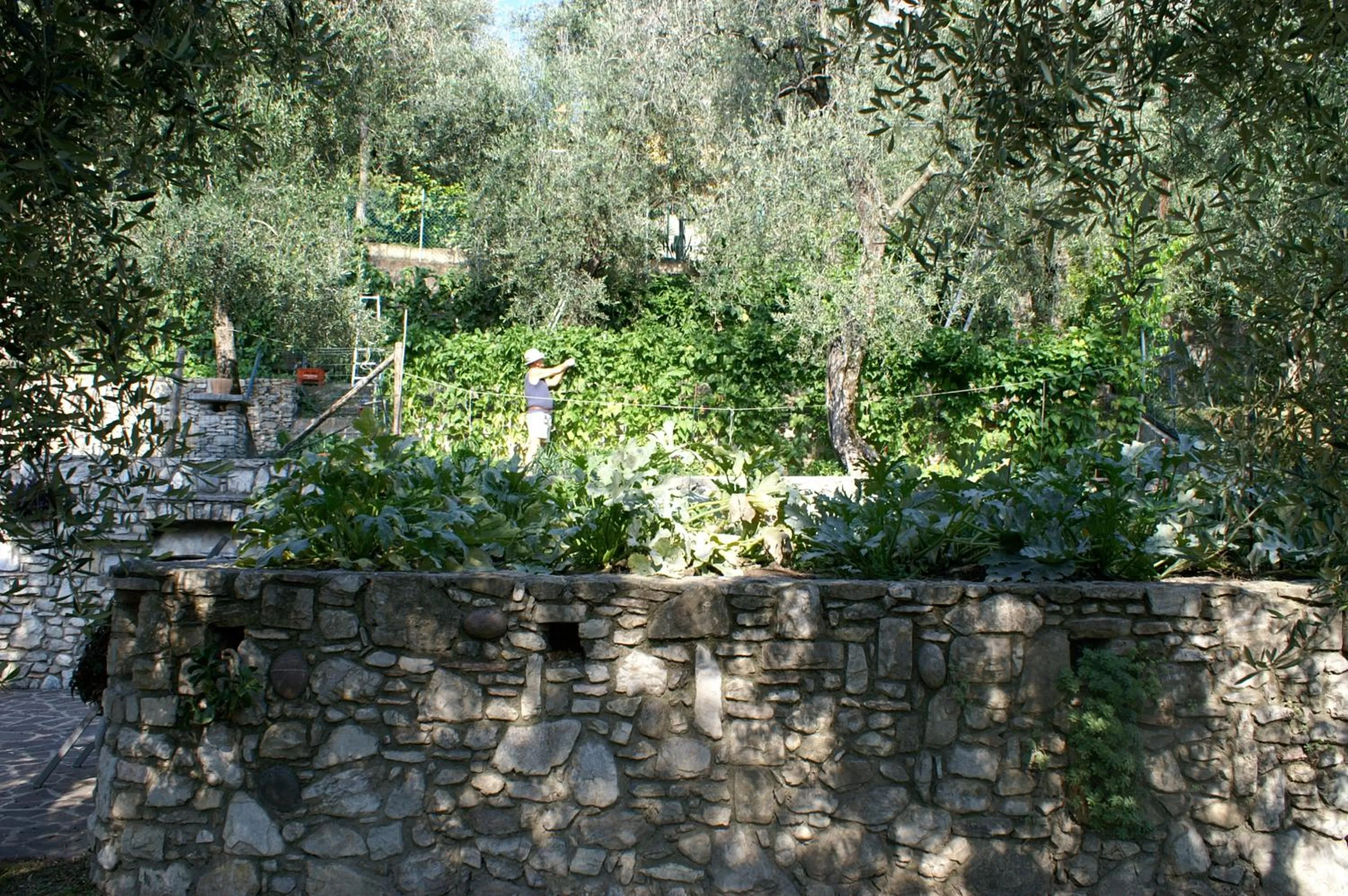 Staff in Hotel Riviera Panoramic Green Resort