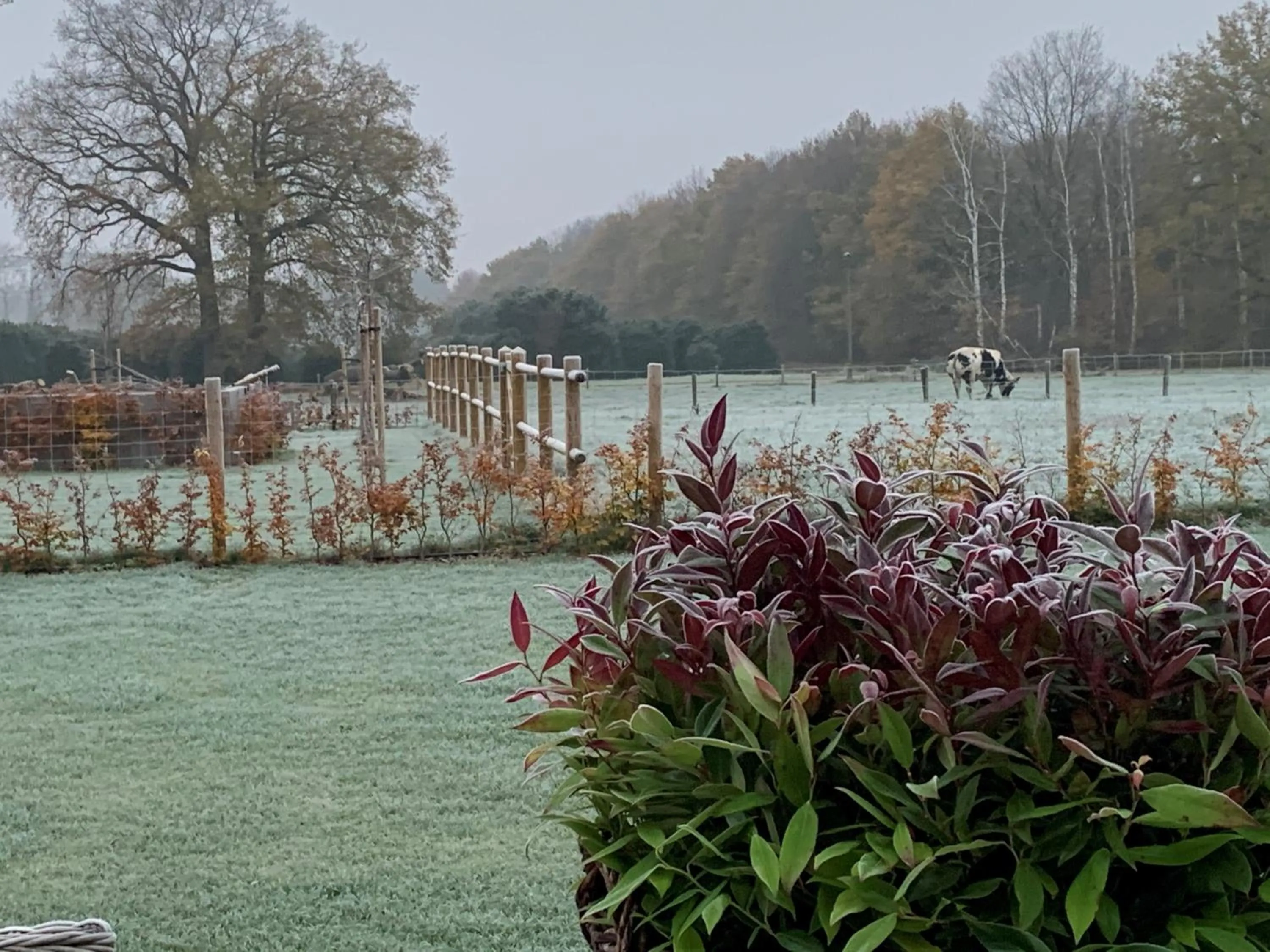 Garden in b&b Meilrijk
