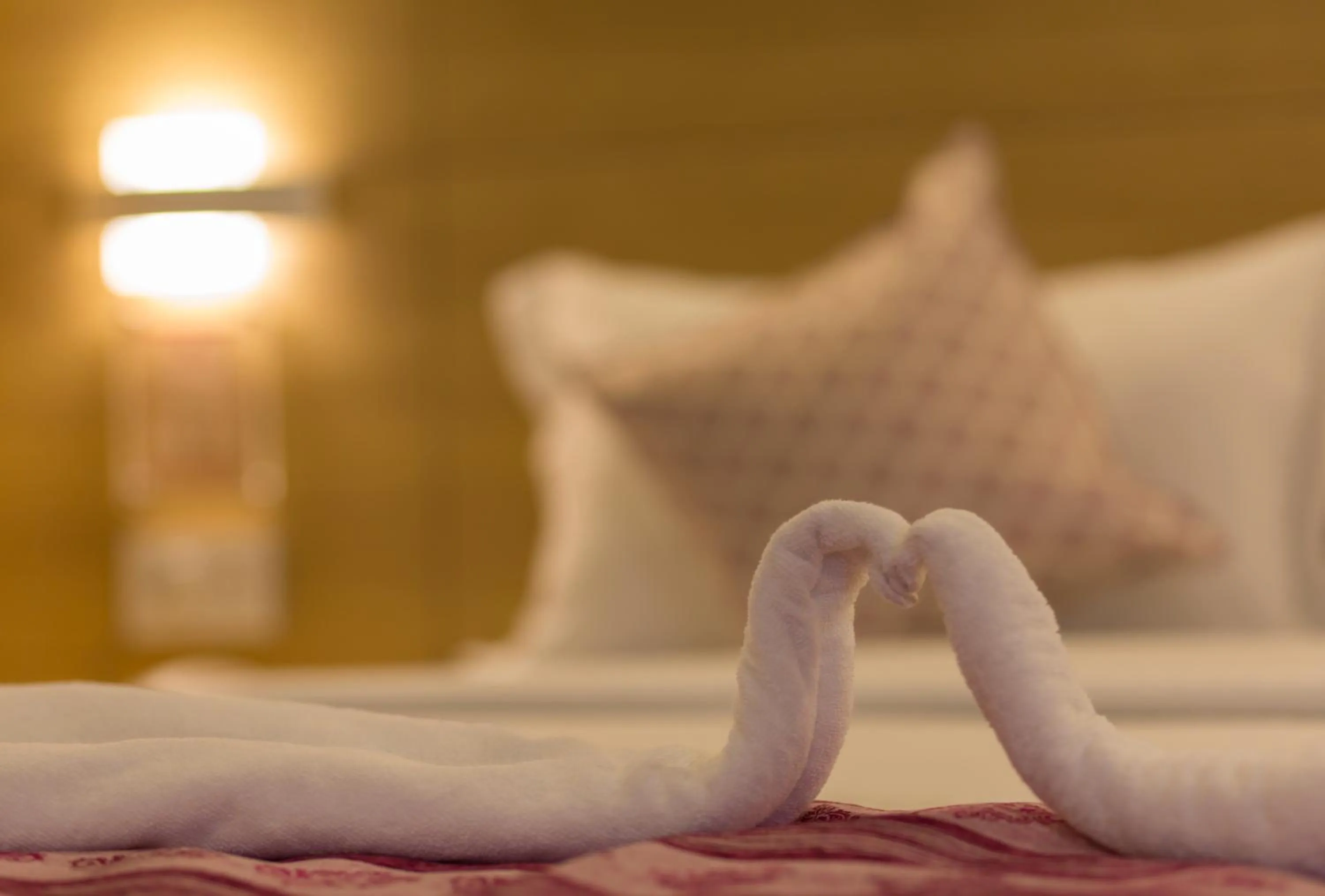 Living room in The Solitaire Express