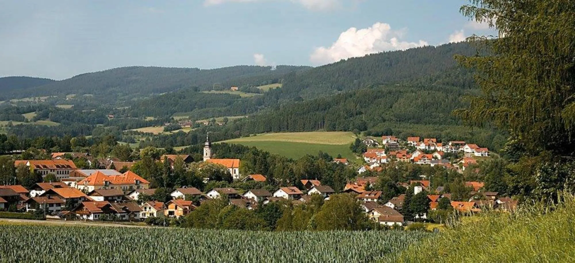 Natural landscape in AKZENT Hotel Bayerwald-Residenz