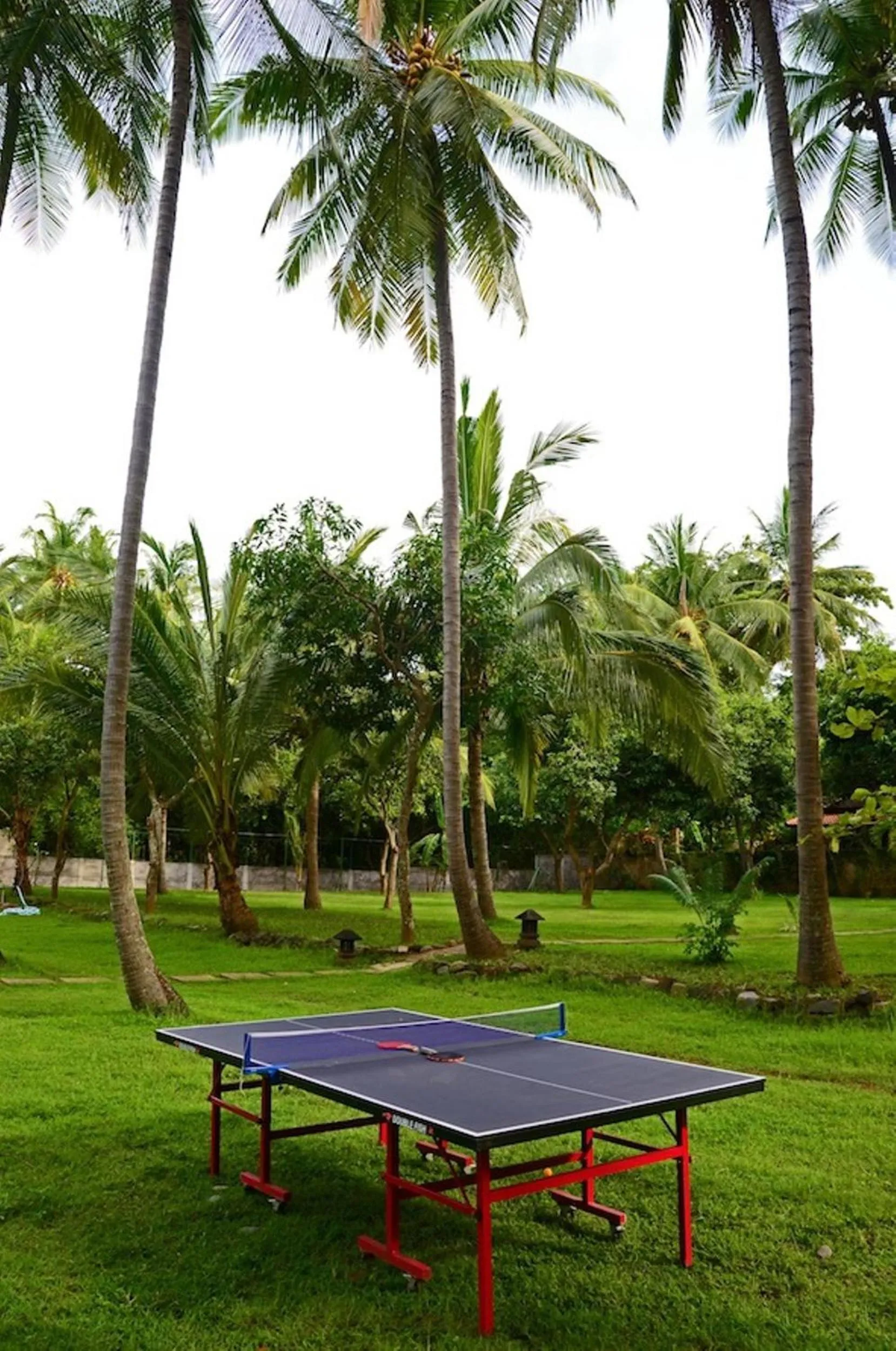 Activities in Bali au Naturel