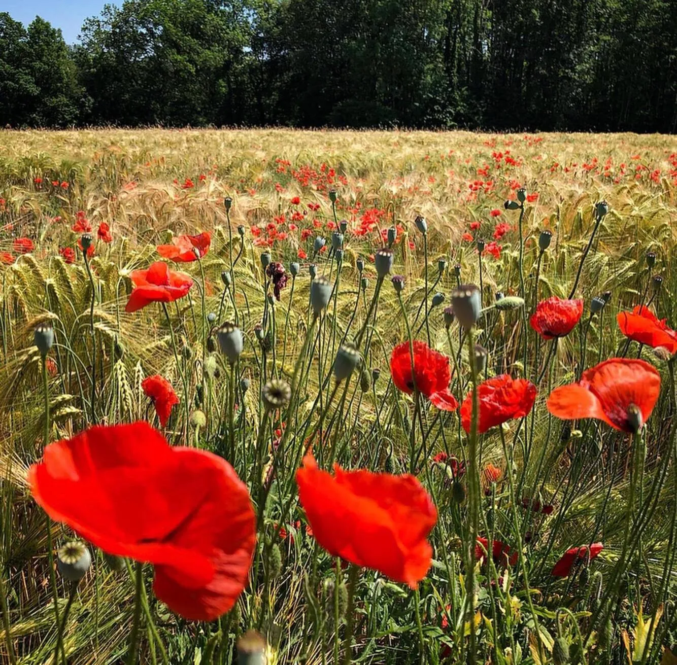 Hiking in Hôtel D’Artiste