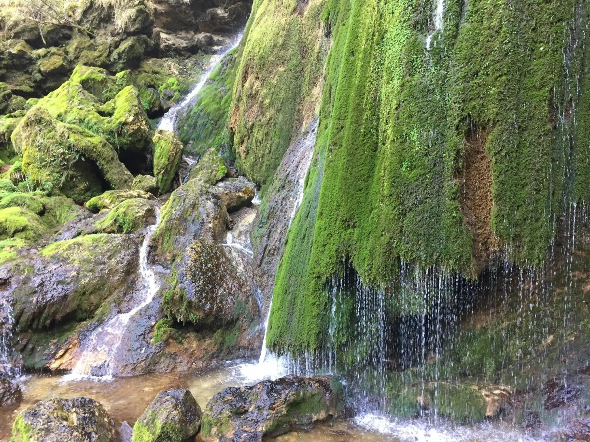 Hiking in Hôtel D’Artiste