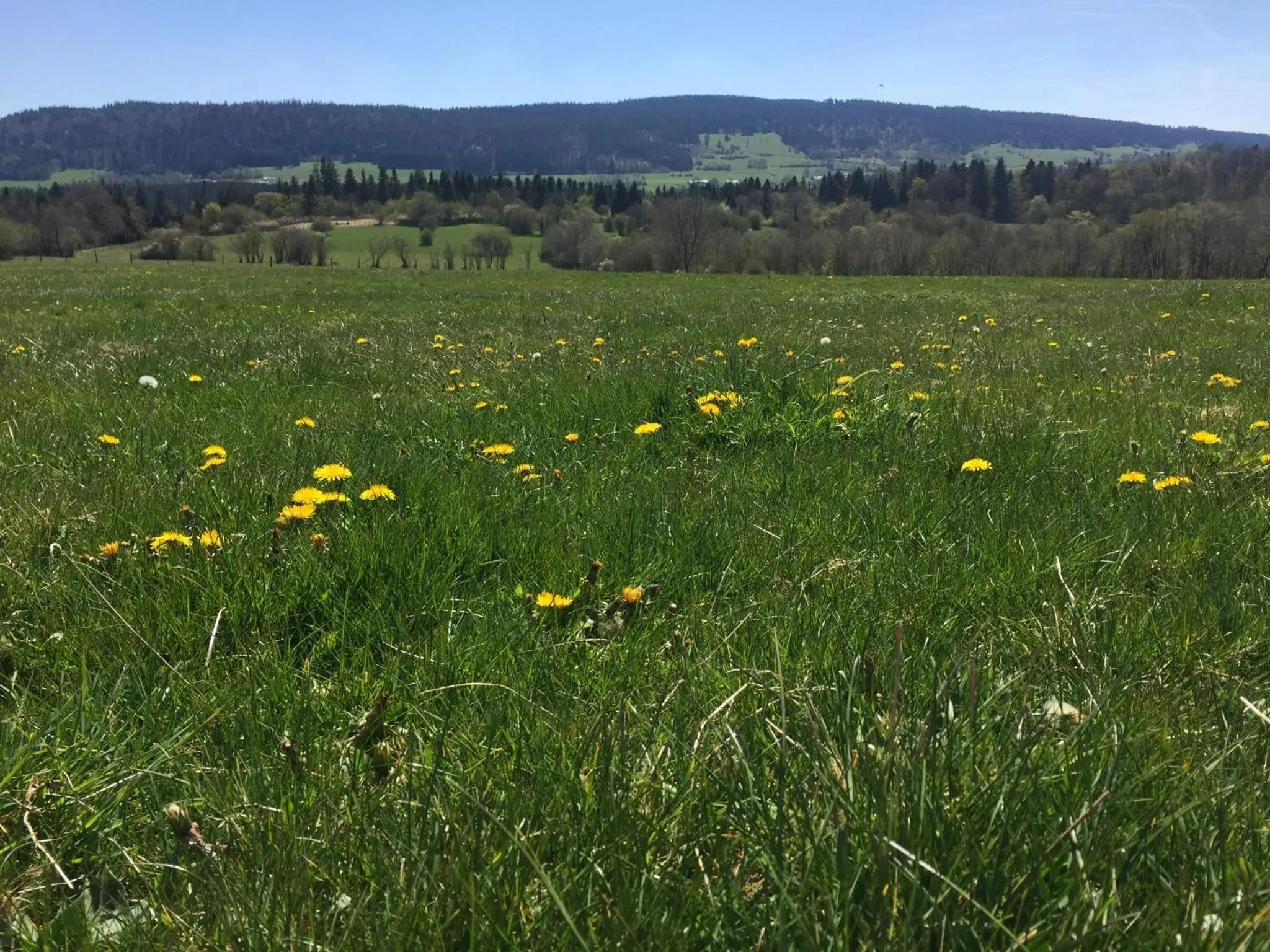 Natural landscape in Hôtel D’Artiste