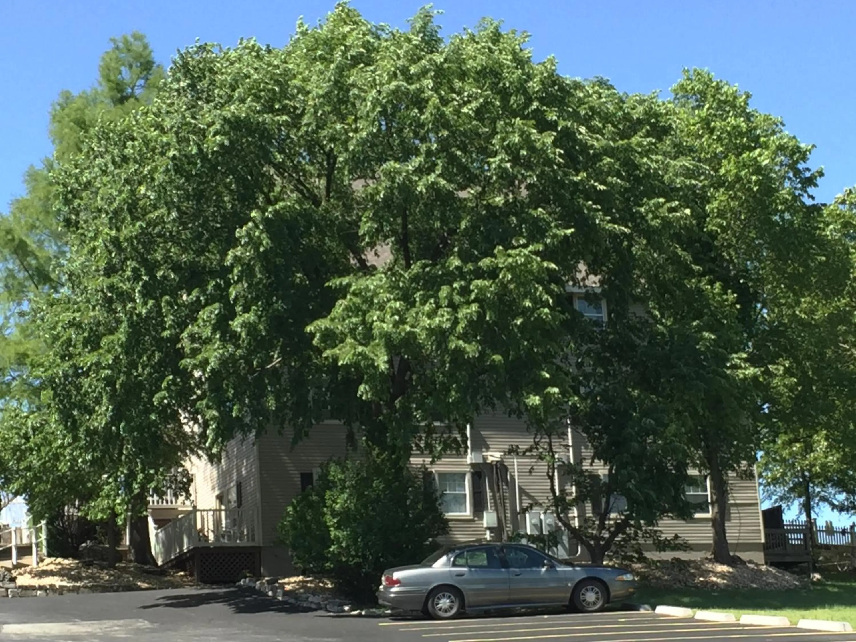Property building in Gazebo Inn
