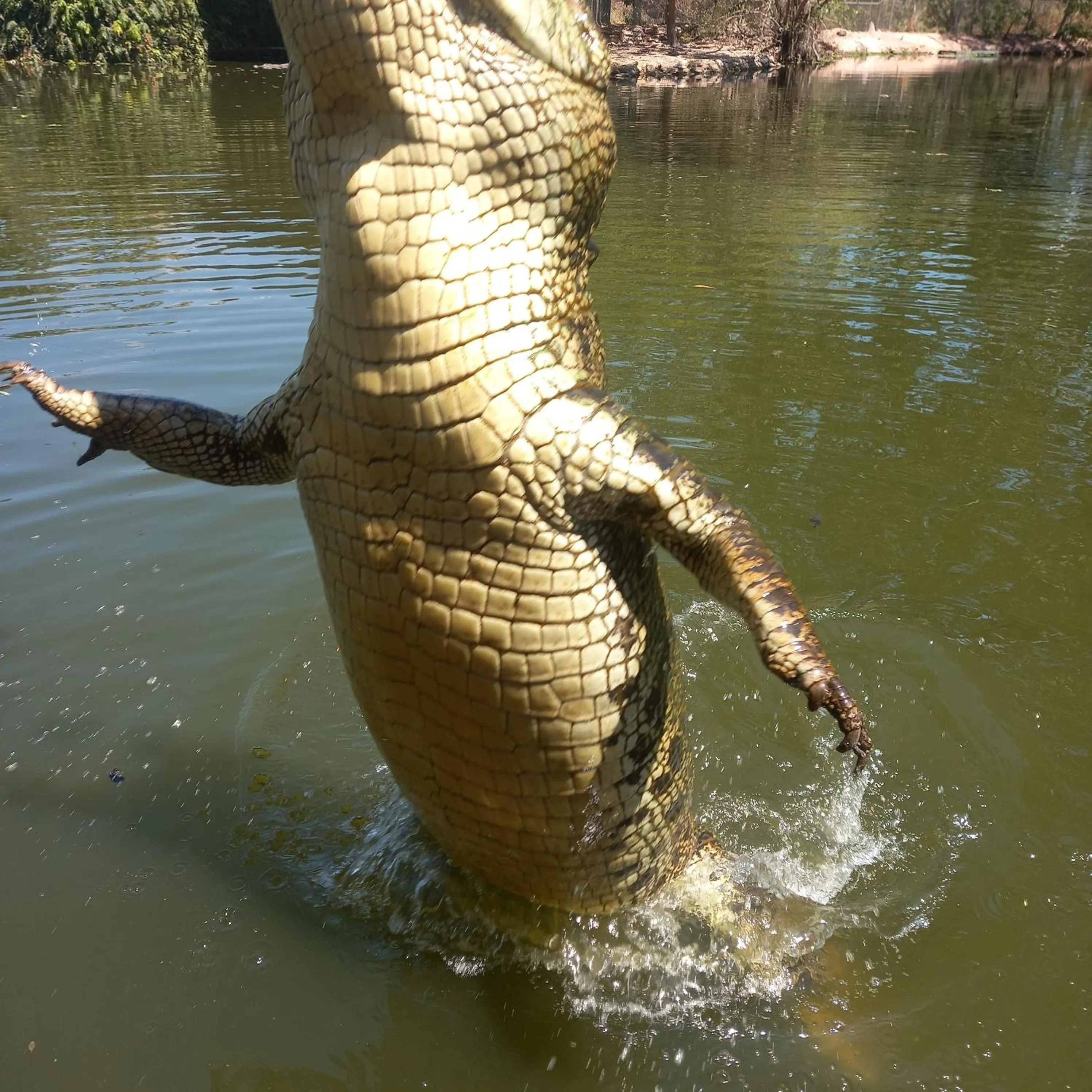 Darwin Harbour Suites