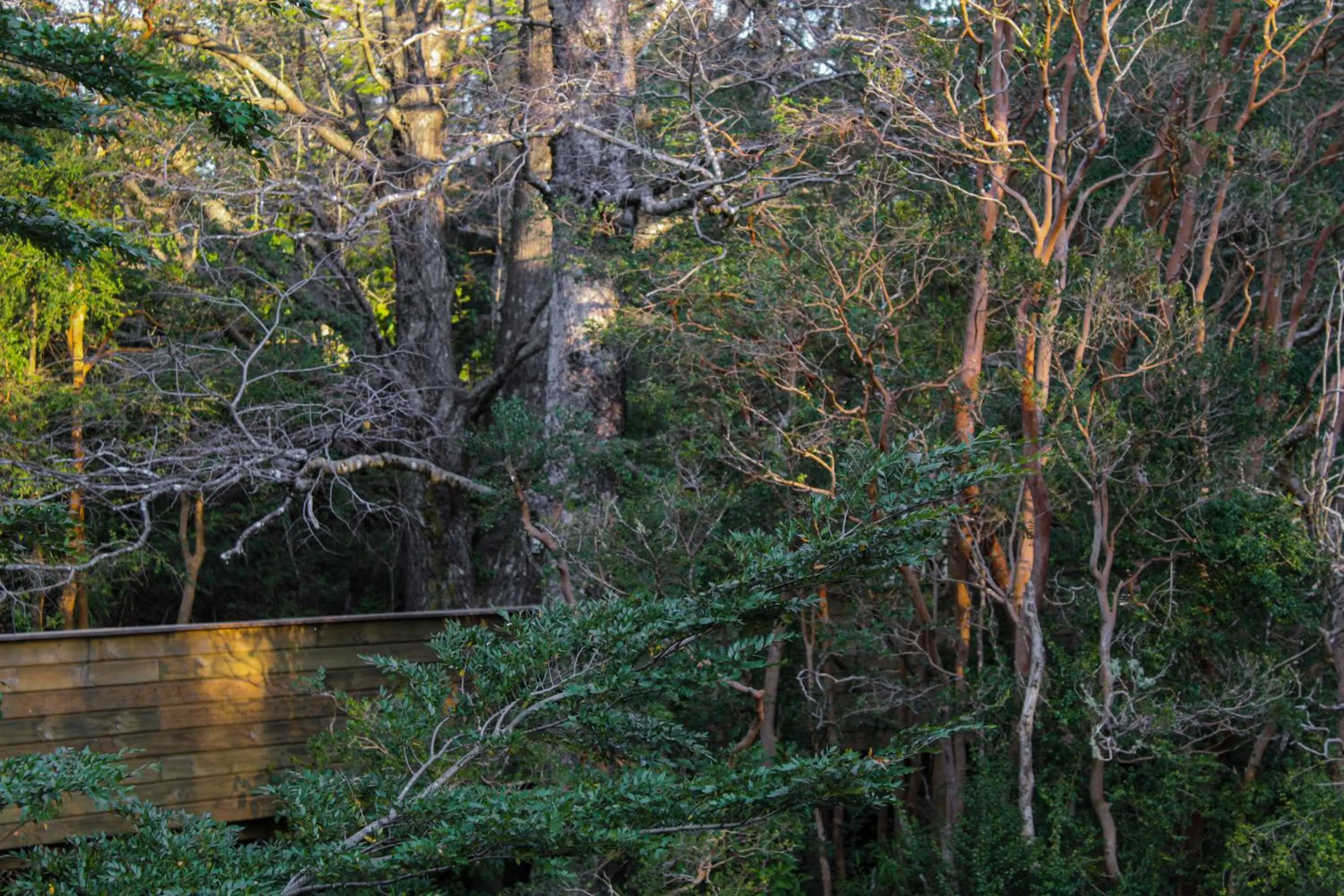 Off site in NI-NEWEN Hotel & Lodge