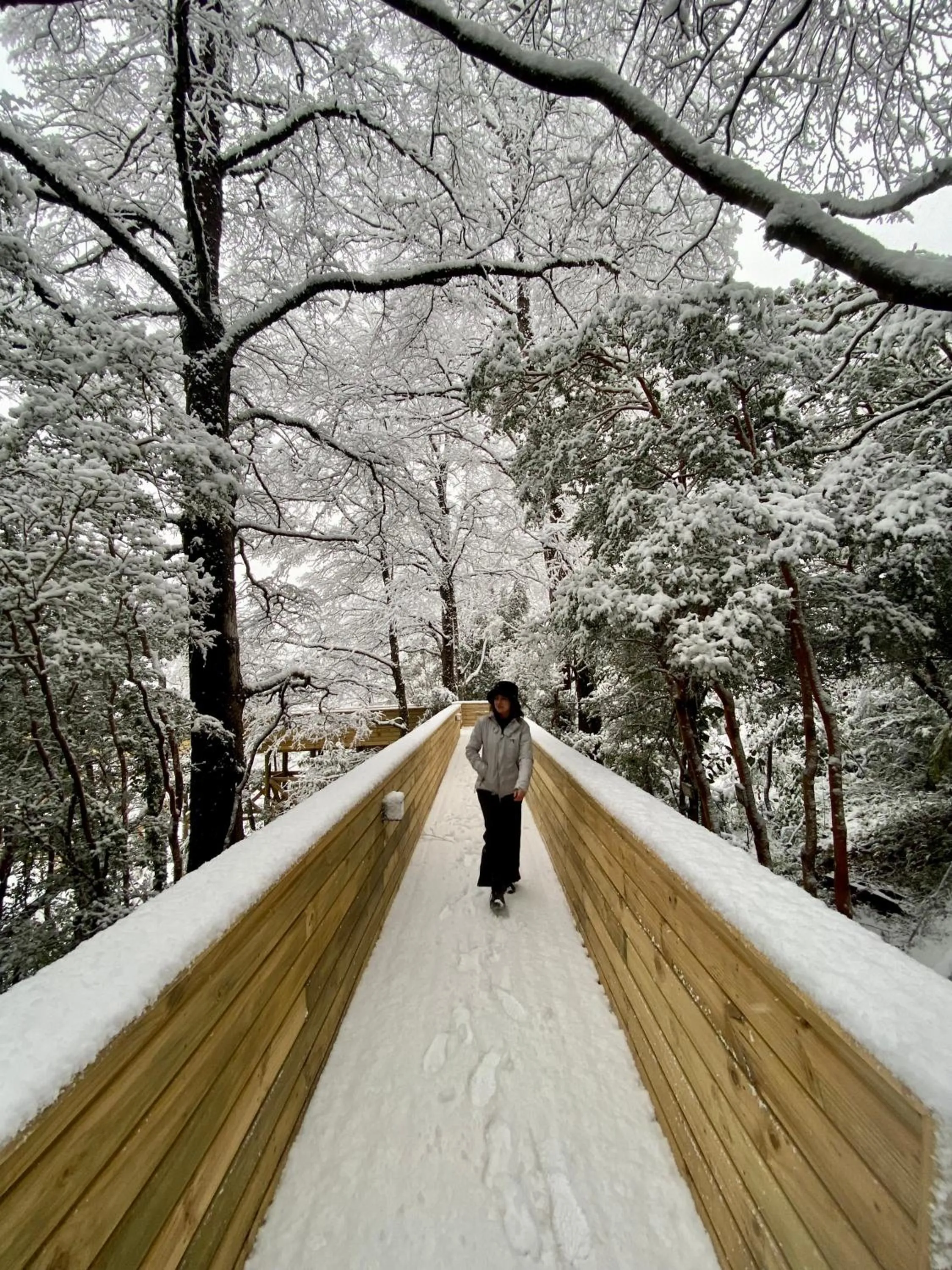 Natural landscape in NI-NEWEN Hotel & Lodge