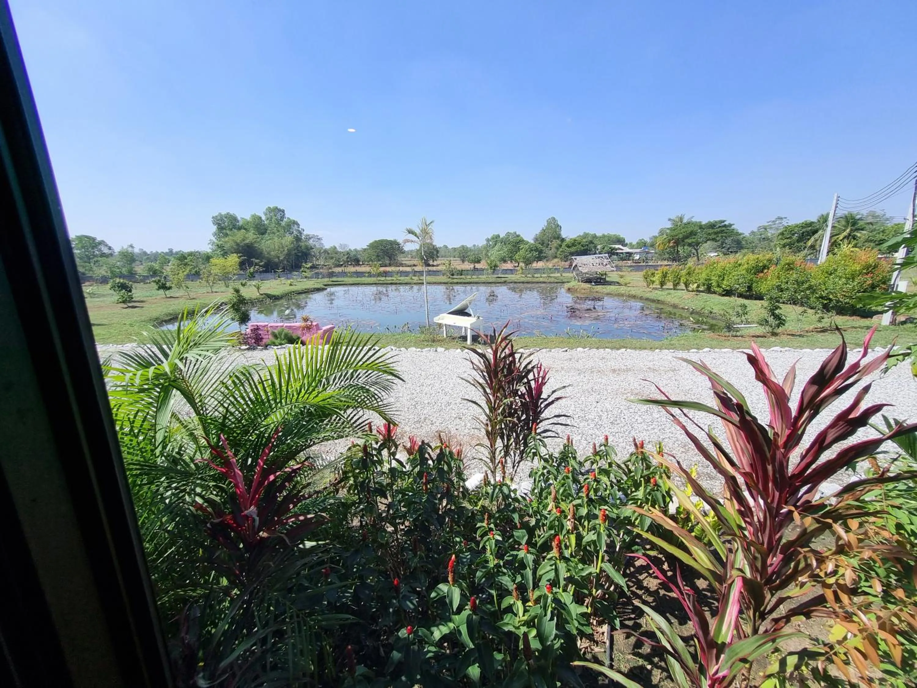 View (from property/room) in Bua Daeng Homestay Resort