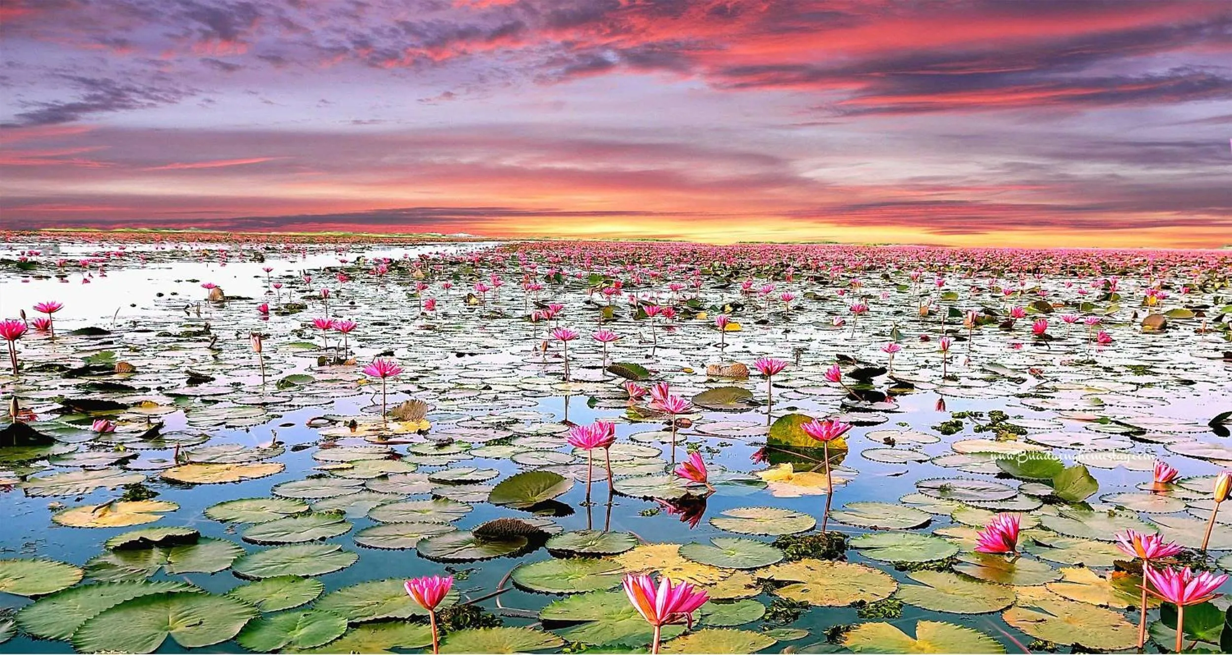 Natural landscape in Bua Daeng Homestay Resort